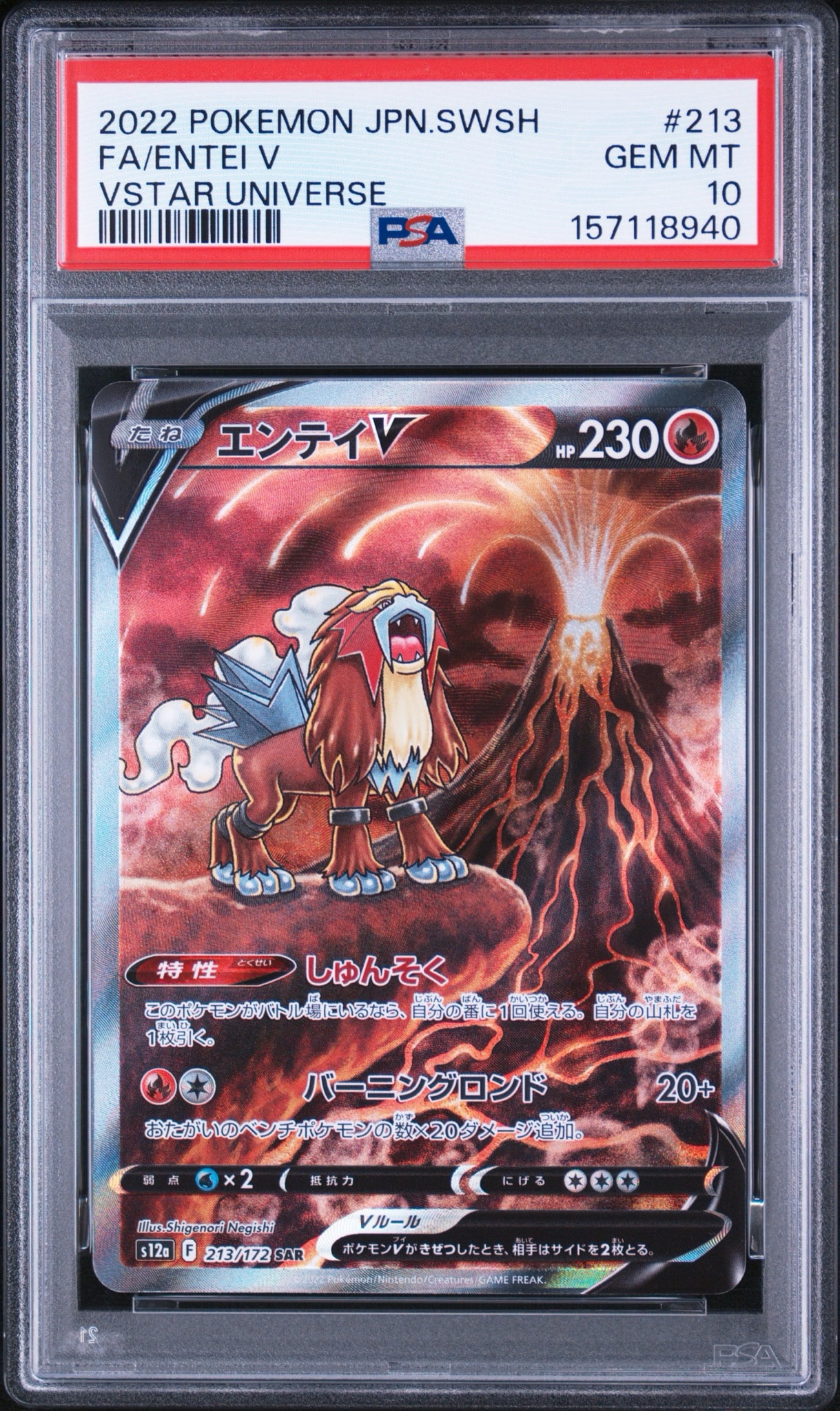 PSA10】エンテイV SAR[s12a 213/172](ハイクラスパック「VSTAR