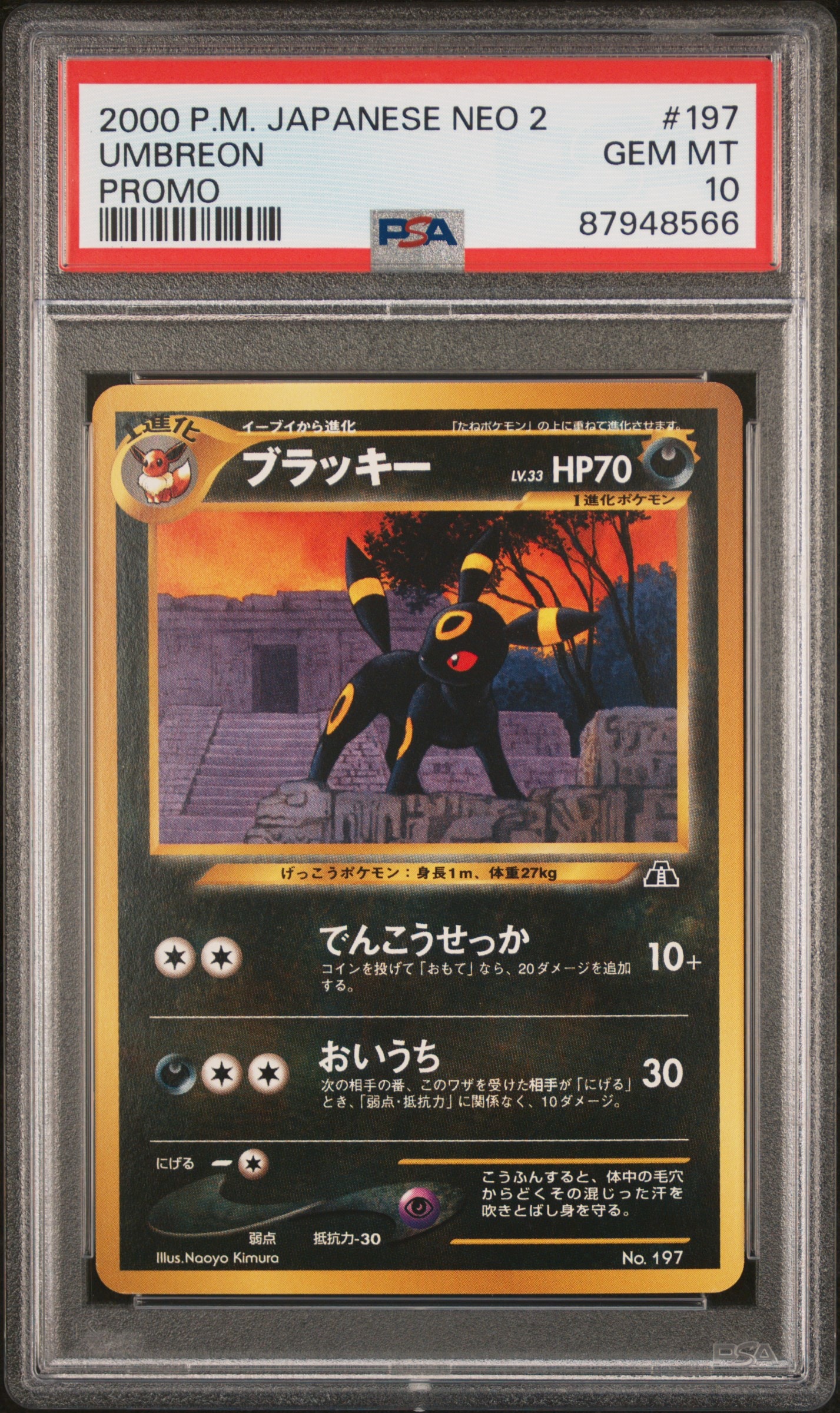 ブラッキープレミアムファイル2: 旧裏[neoP2 No.197](プレミアムファイル2)