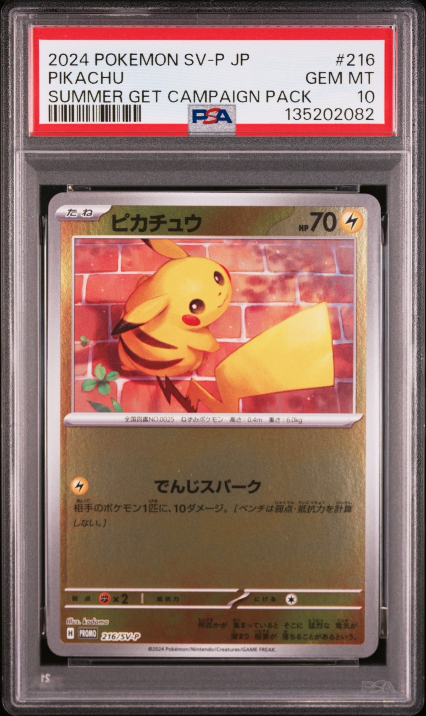 ピカチュウ P [SV-P 216](プロモカードパック「ポケカの夏がキタ!プロモカードGetキャンペーン!」)