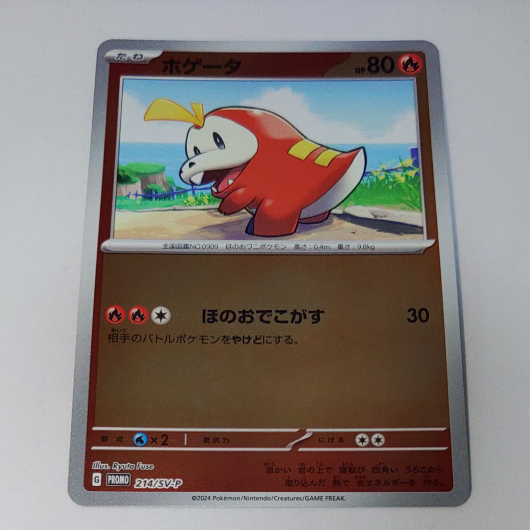 状態A】ホゲータ P [SV-P 214](プロモカードパック「ポケカの夏