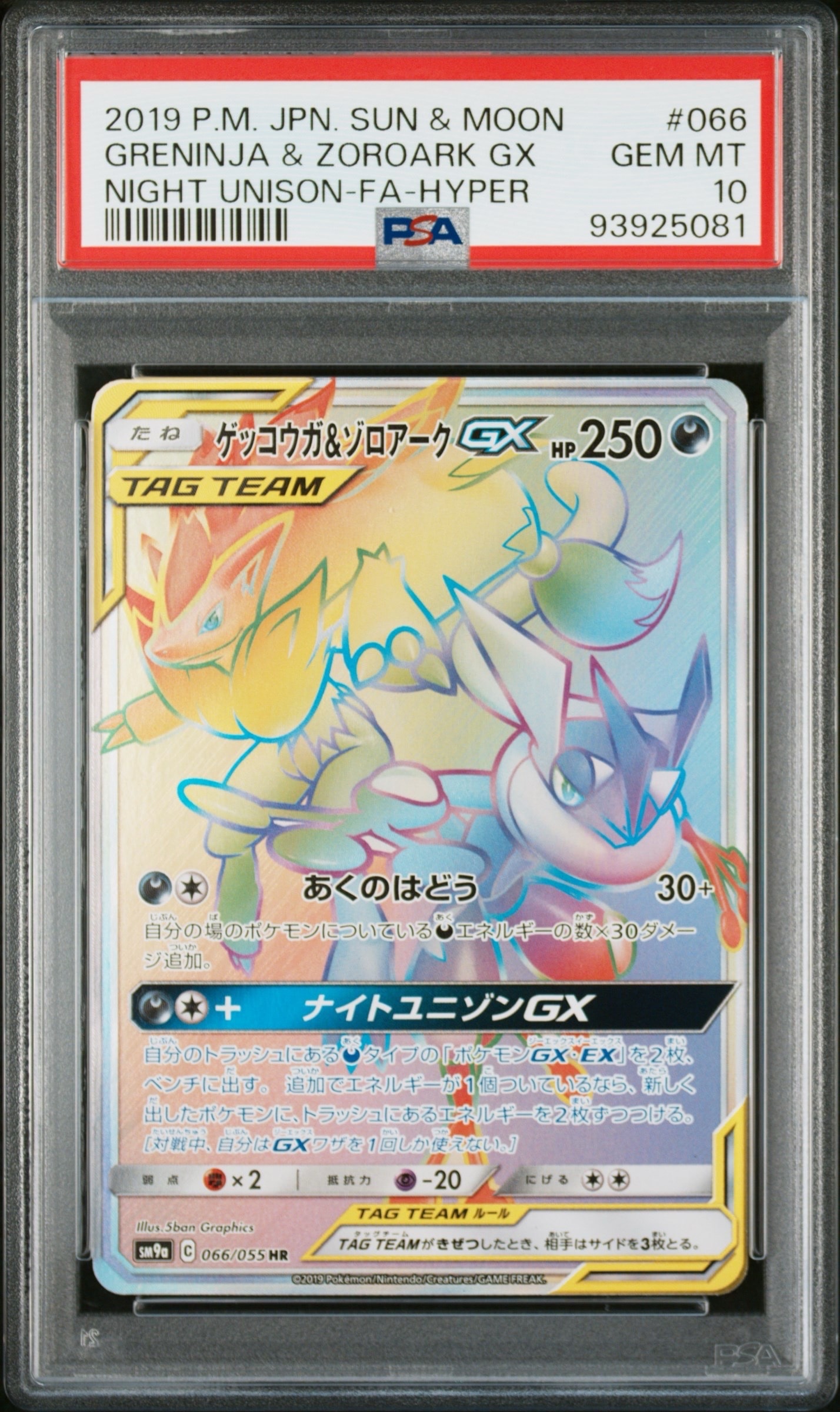 ゲッコウガ&ゾロアークGX HR[SM9a 066/055](強化拡張パック「ナイトユニゾン」)