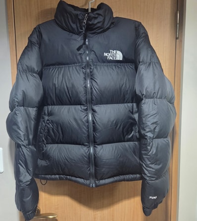 The North Face 1996 Retro Nuptse Jacket "Black"