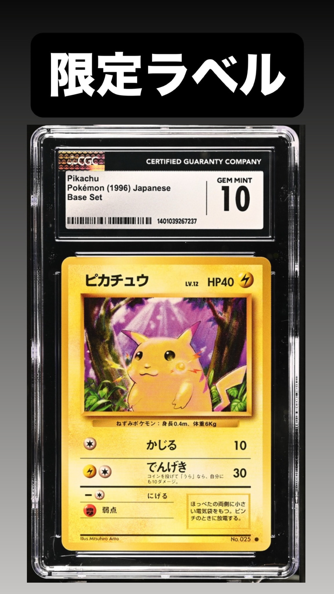 ピカチュウ ○ : 旧裏 [PMCG1-2](拡張パック「ポケットモンスター