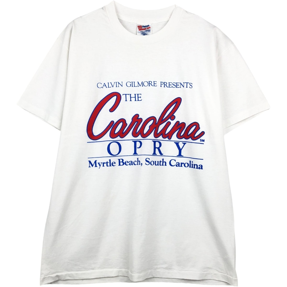 古着 90年代 ヘインズ Hanes HEAVYWEIGHT 50/50 プリントTシャツ USA製 メンズL相当 ヴィンテージ/eaa654816
