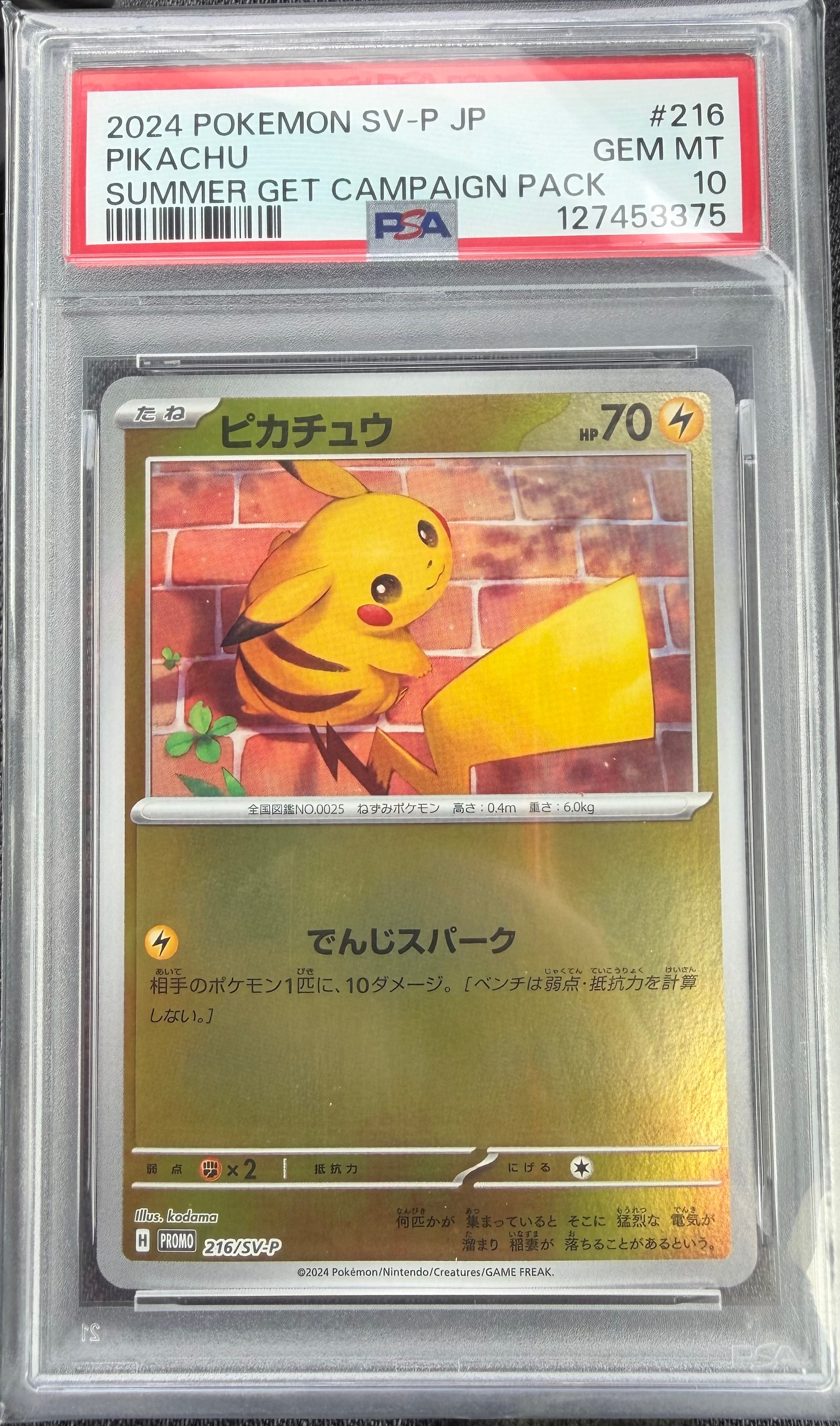 ピカチュウ P [SV-P 216](プロモカードパック「ポケカの夏がキタ!プロモカードGetキャンペーン!」)