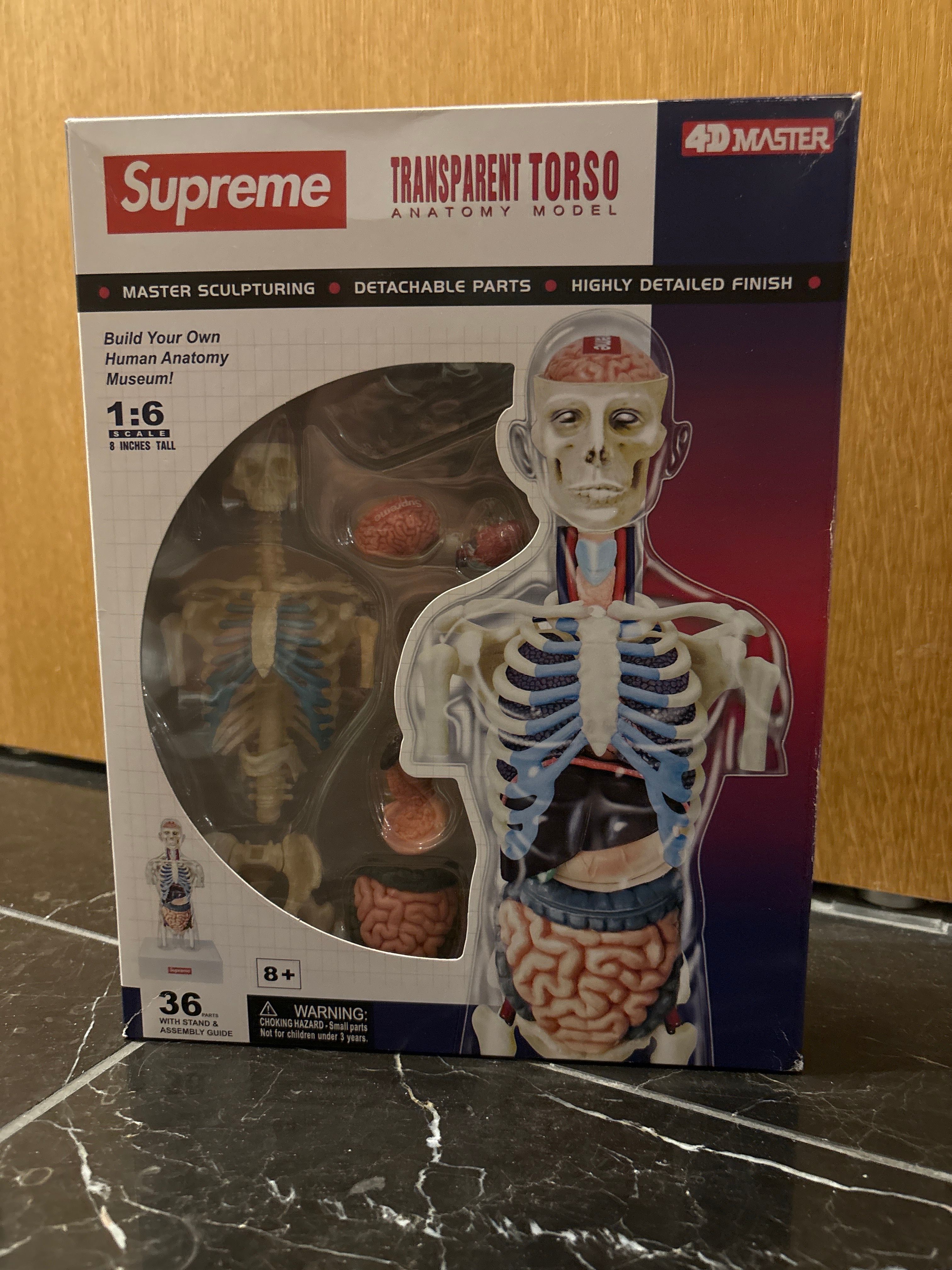 Supreme Male and Female Anatomy Model 