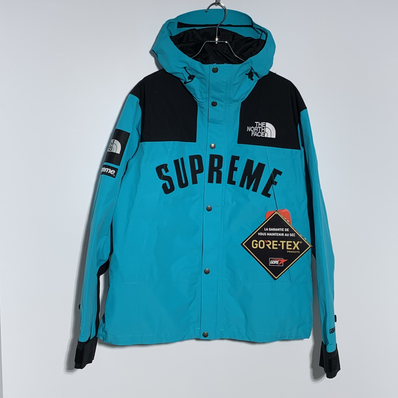 Supreme x The North Face Arc Logo Mountain Parka "Blue"