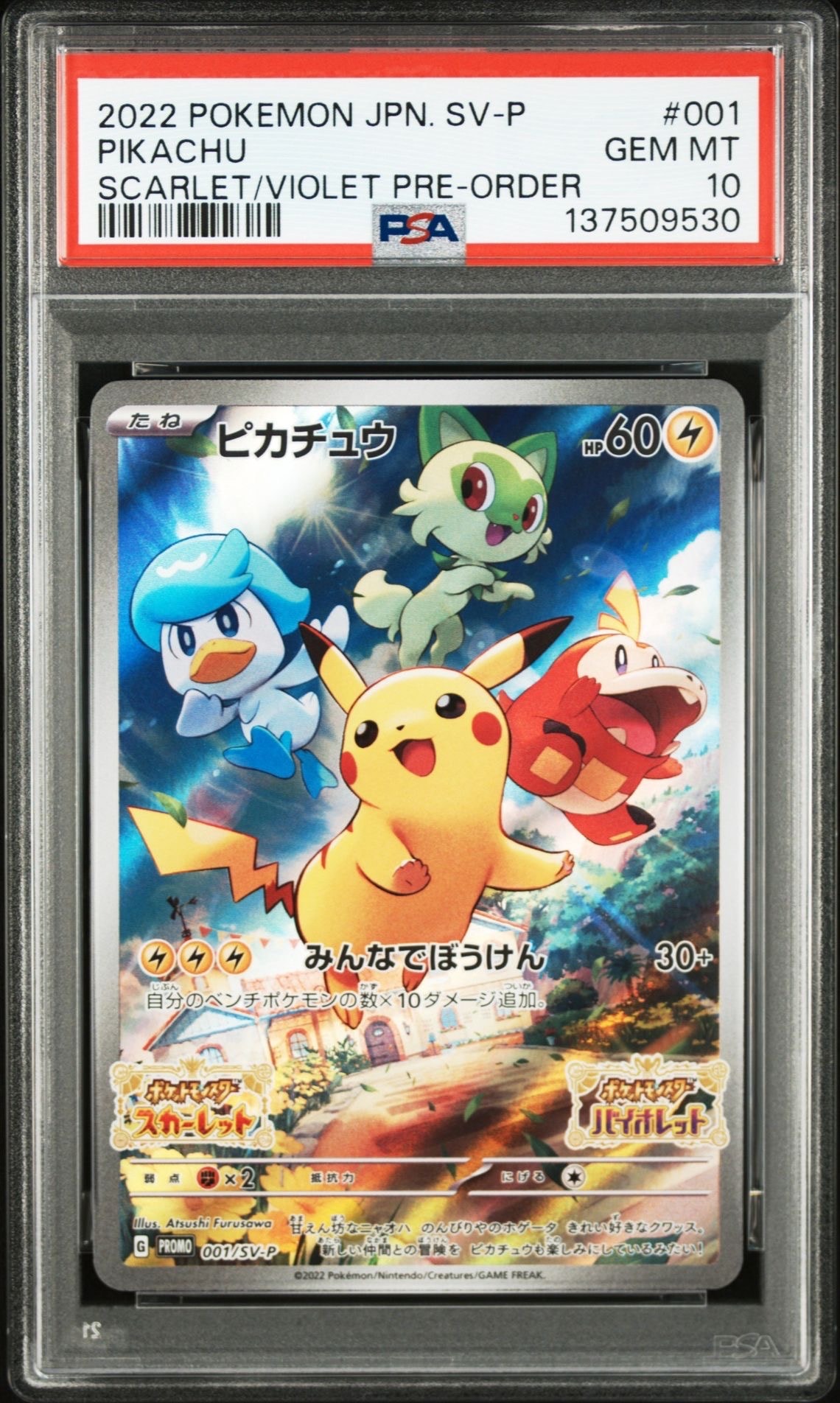 PSA10】ピカチュウ [SV-P 242](プロモカードパック