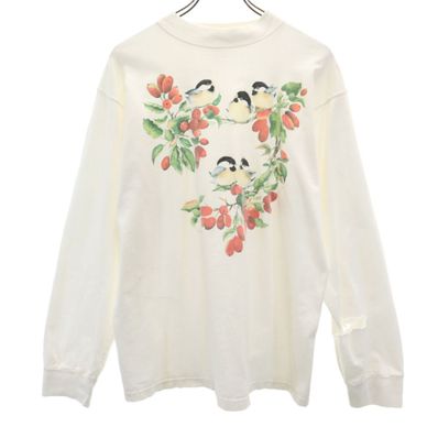 FRUIT OF THE LOOM 長袖 Tシャツ