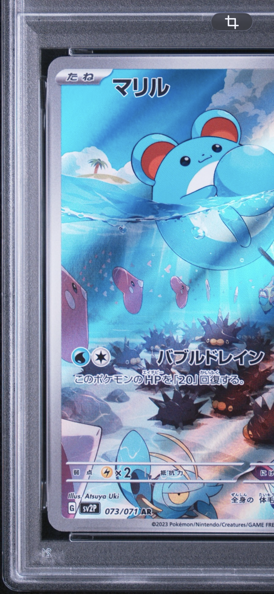 PSA10】マリル AR[SV2P 073/071](拡張パック「スノーハザード」) 1枚の