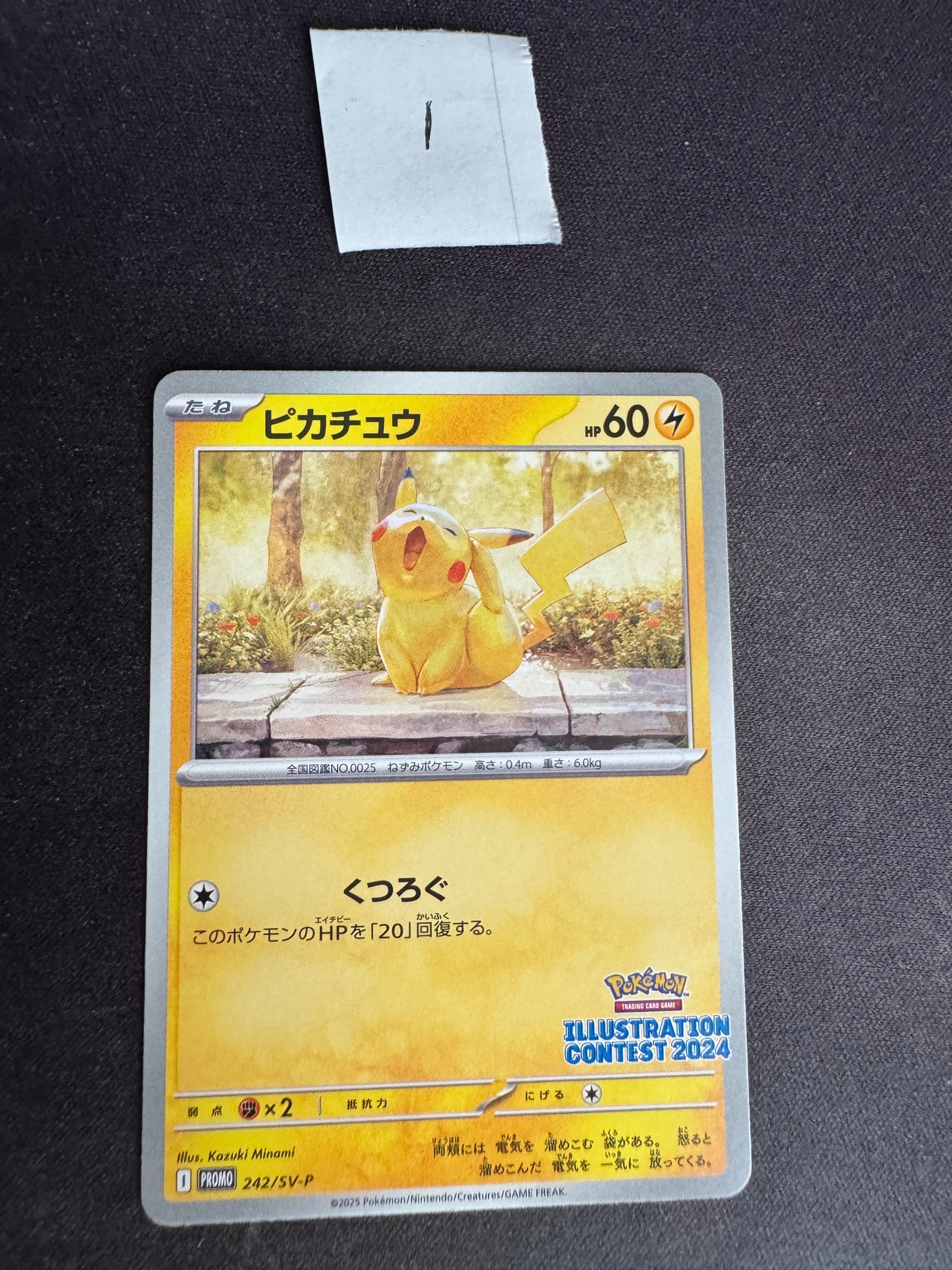 ピカチュウ [SV-P 242](プロモカードパック「イラストレーション