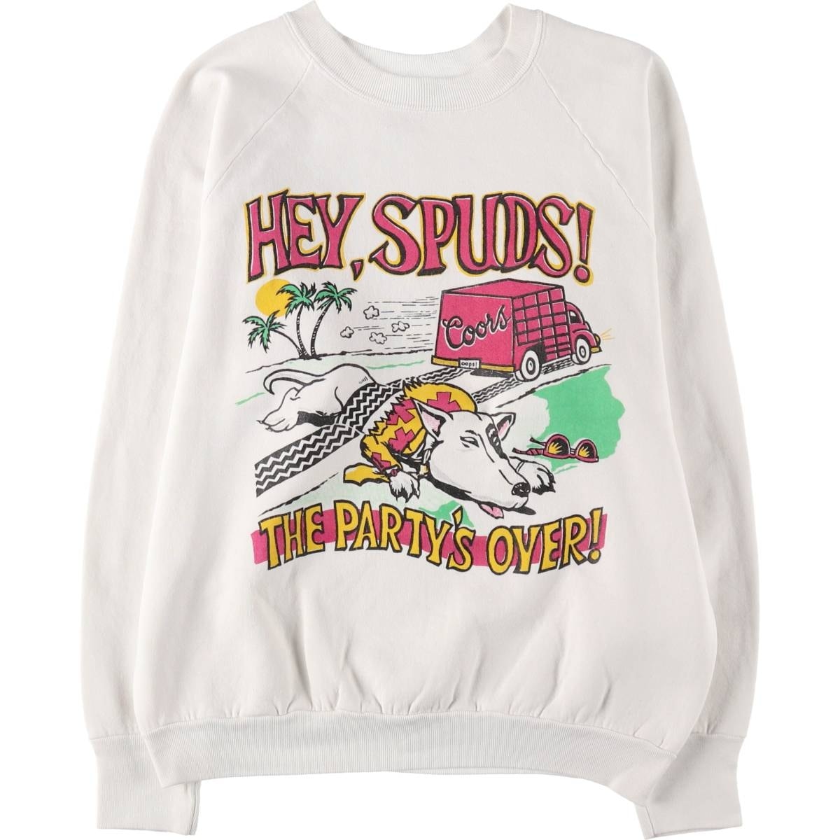 古着 90年代 フルーツオブザルーム FRUIT OF THE LOOM プリントスウェットシャツ トレーナー USA製 メンズL相当 ヴィンテージ/eaa520702