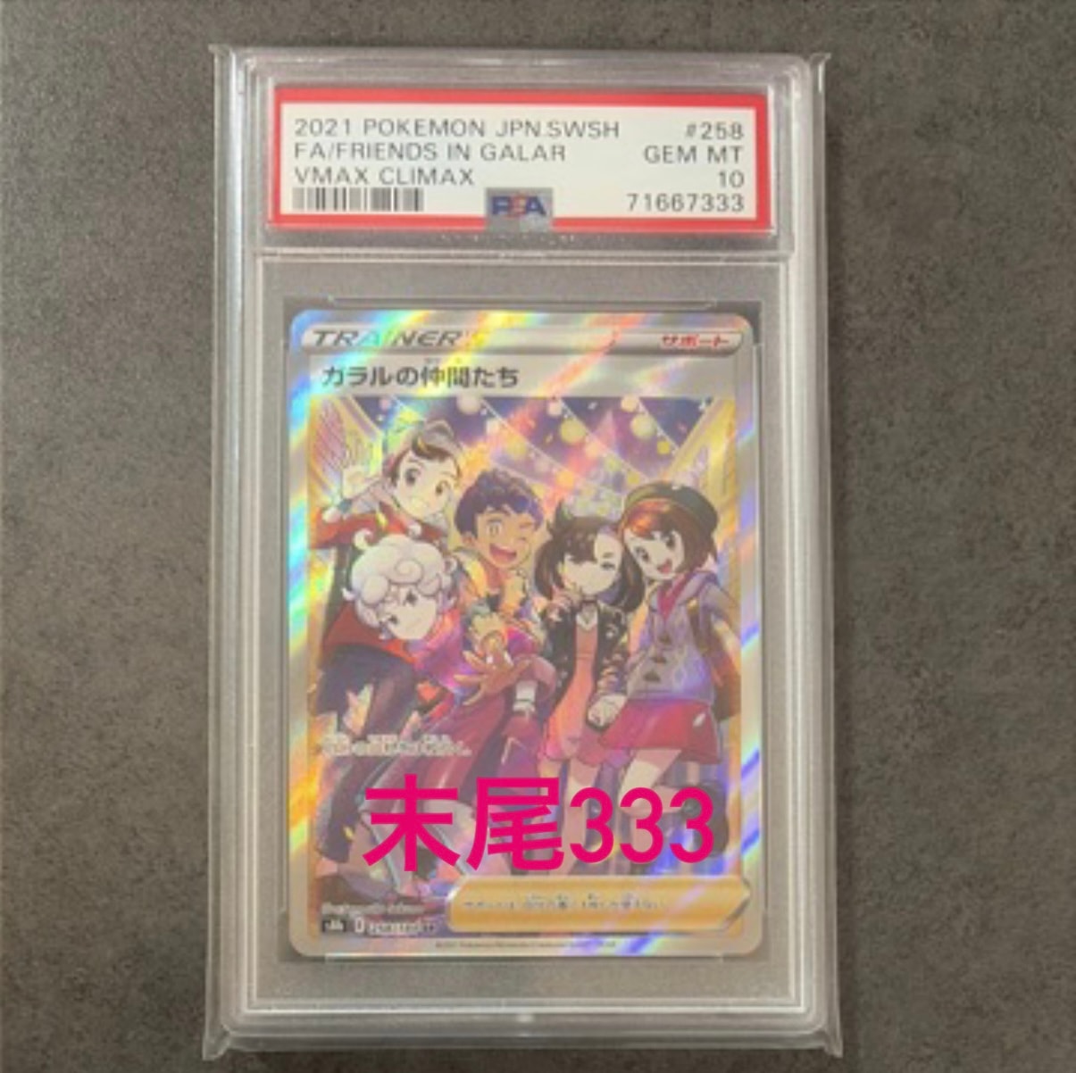 ガラルの仲間たち SR[S8b 258/184](ハイクラスパック「VMAXクライマックス」)