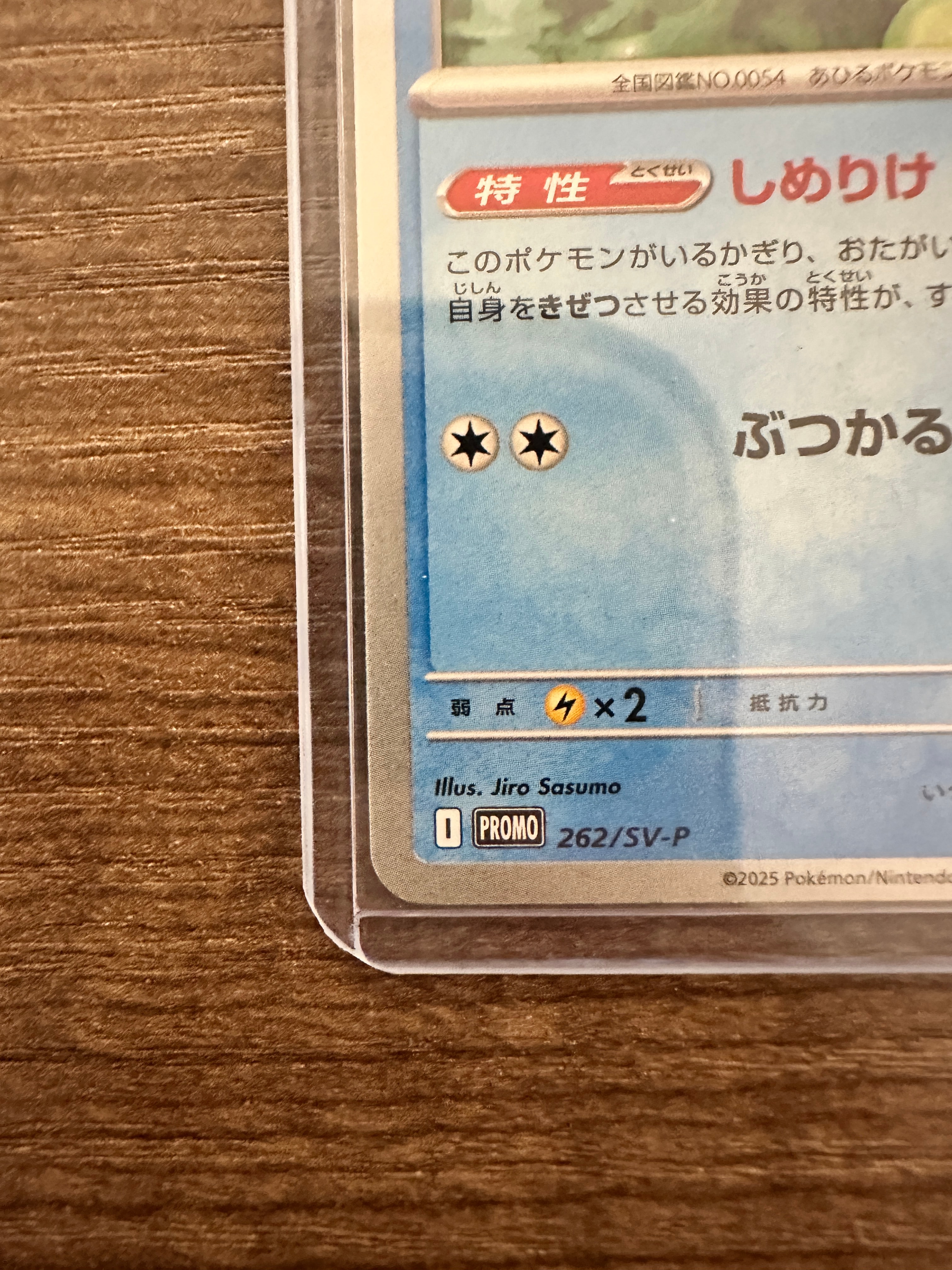 B（小さなキズ/ソリがある品）】コダック P [SV-P 262](プロモカード