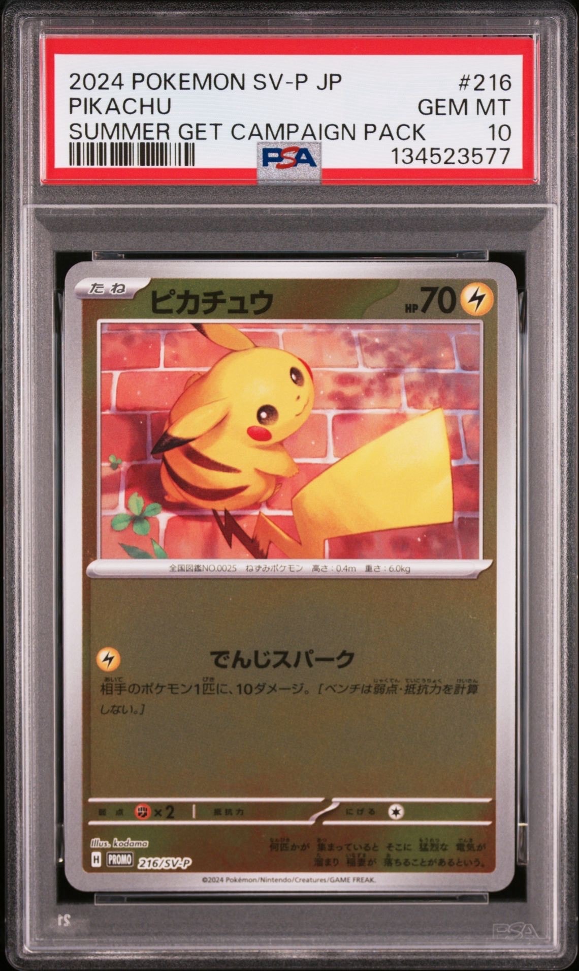 ピカチュウ P [SV-P 216](プロモカードパック「ポケカの夏がキタ！プロモカードGetキャンペーン！」)