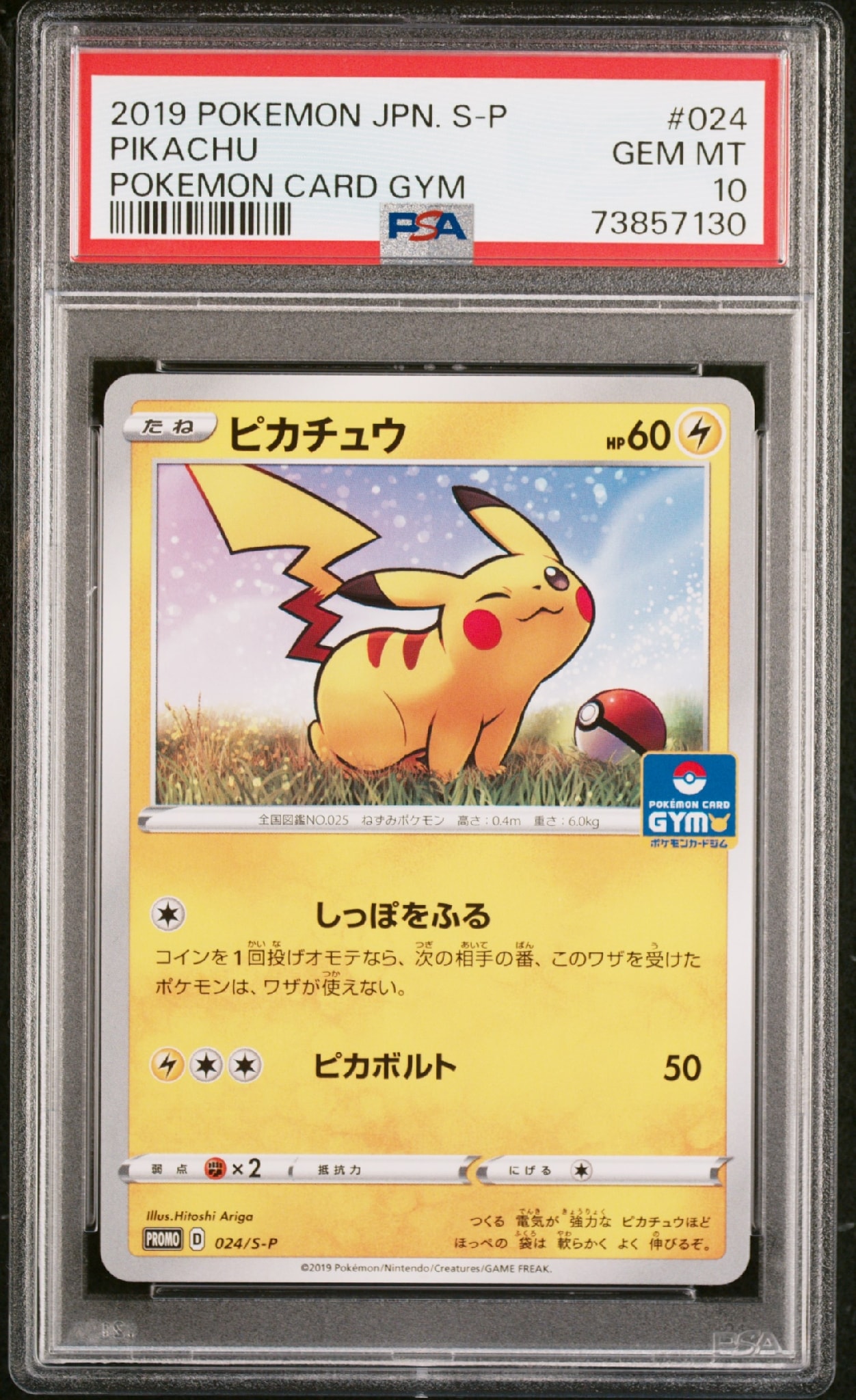ピカチュウ: プロモ P [S-P 024](ポケモンカードゲーム ソード&シールド 「プロモカードパック 第1弾」)