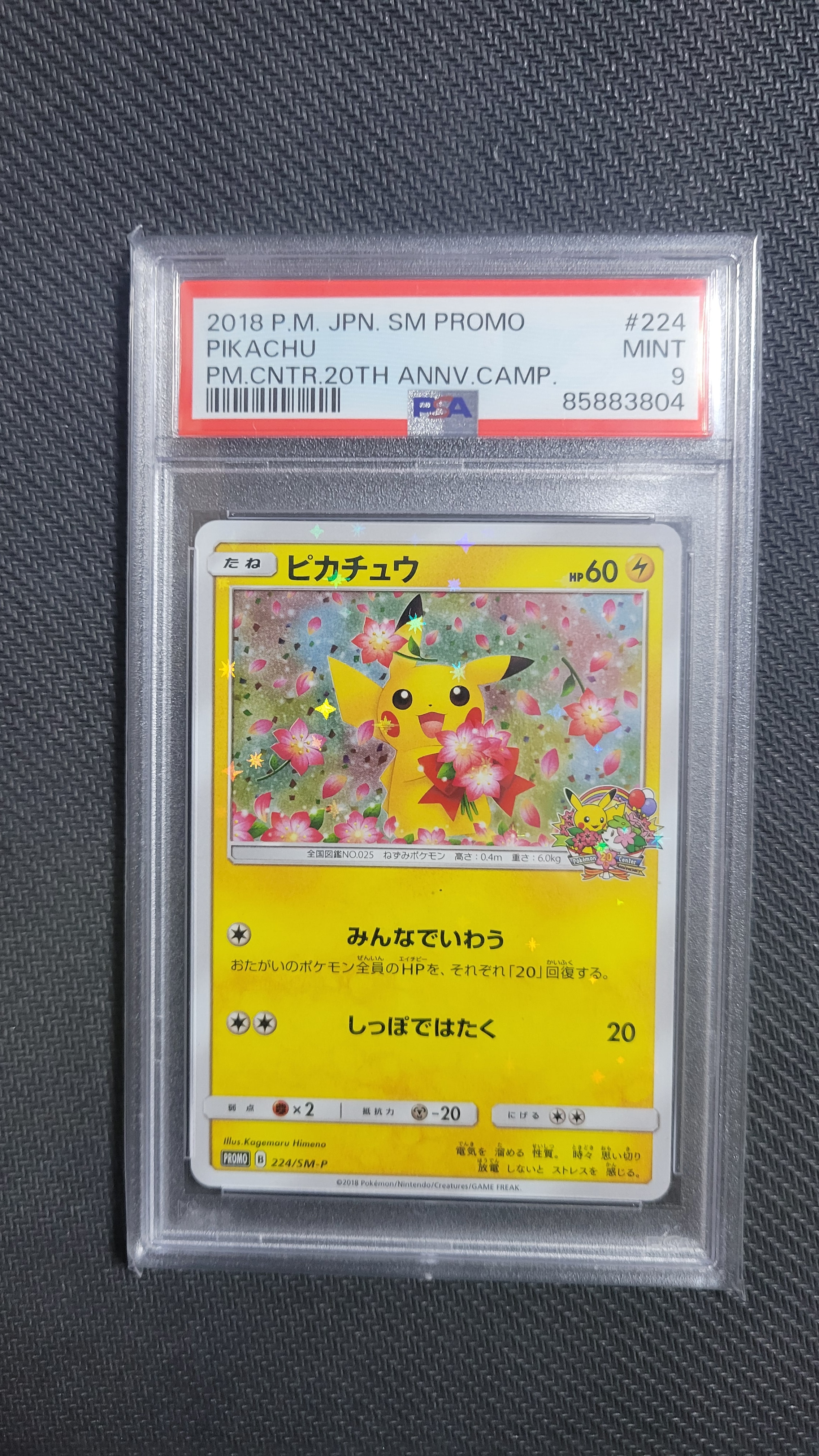ピカチュウ: プロモ[SM-P 224](プロモーションカード「SM-P」)