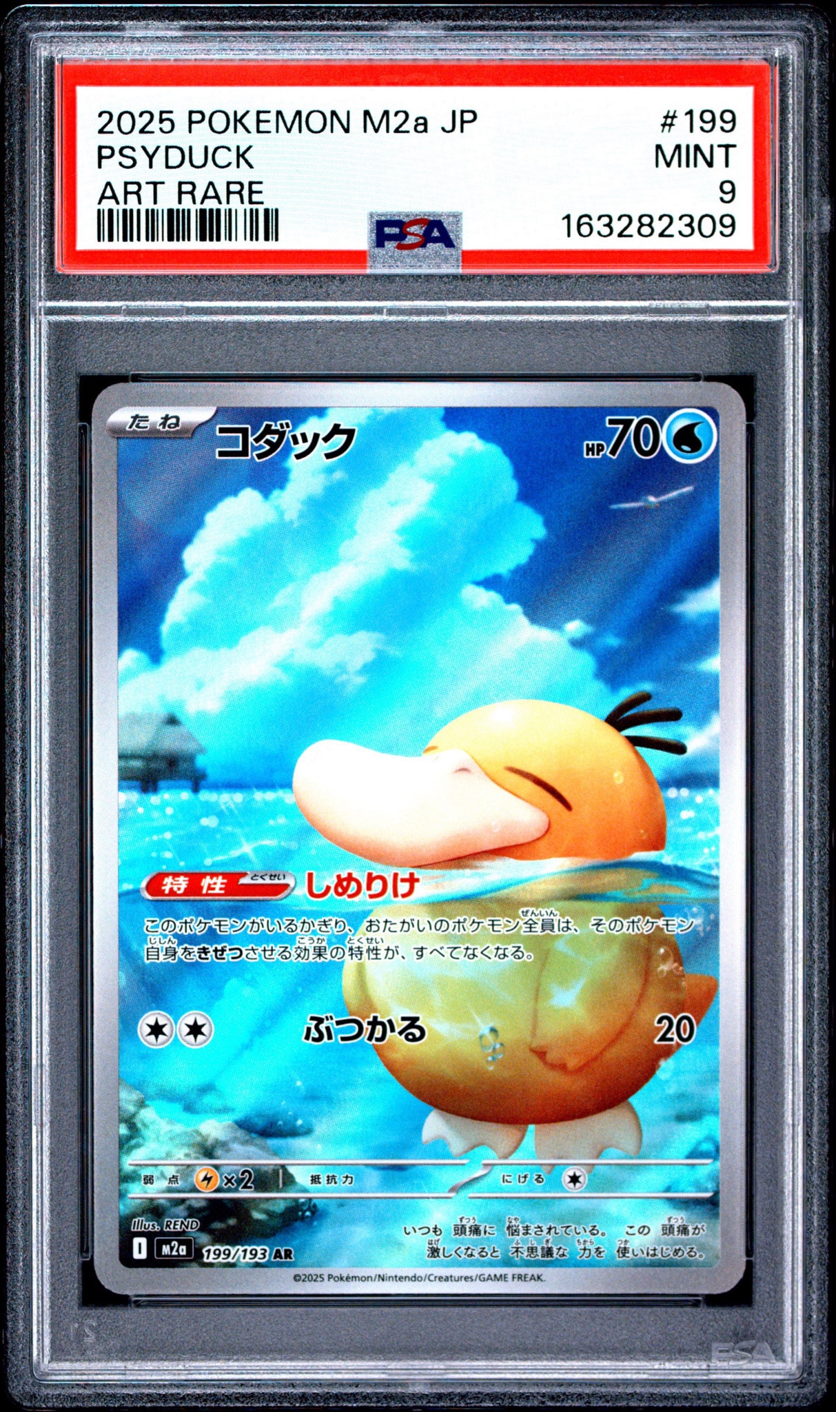 コダック AR [M2a 199/193](ハイクラスパック「MEGAドリームex」)