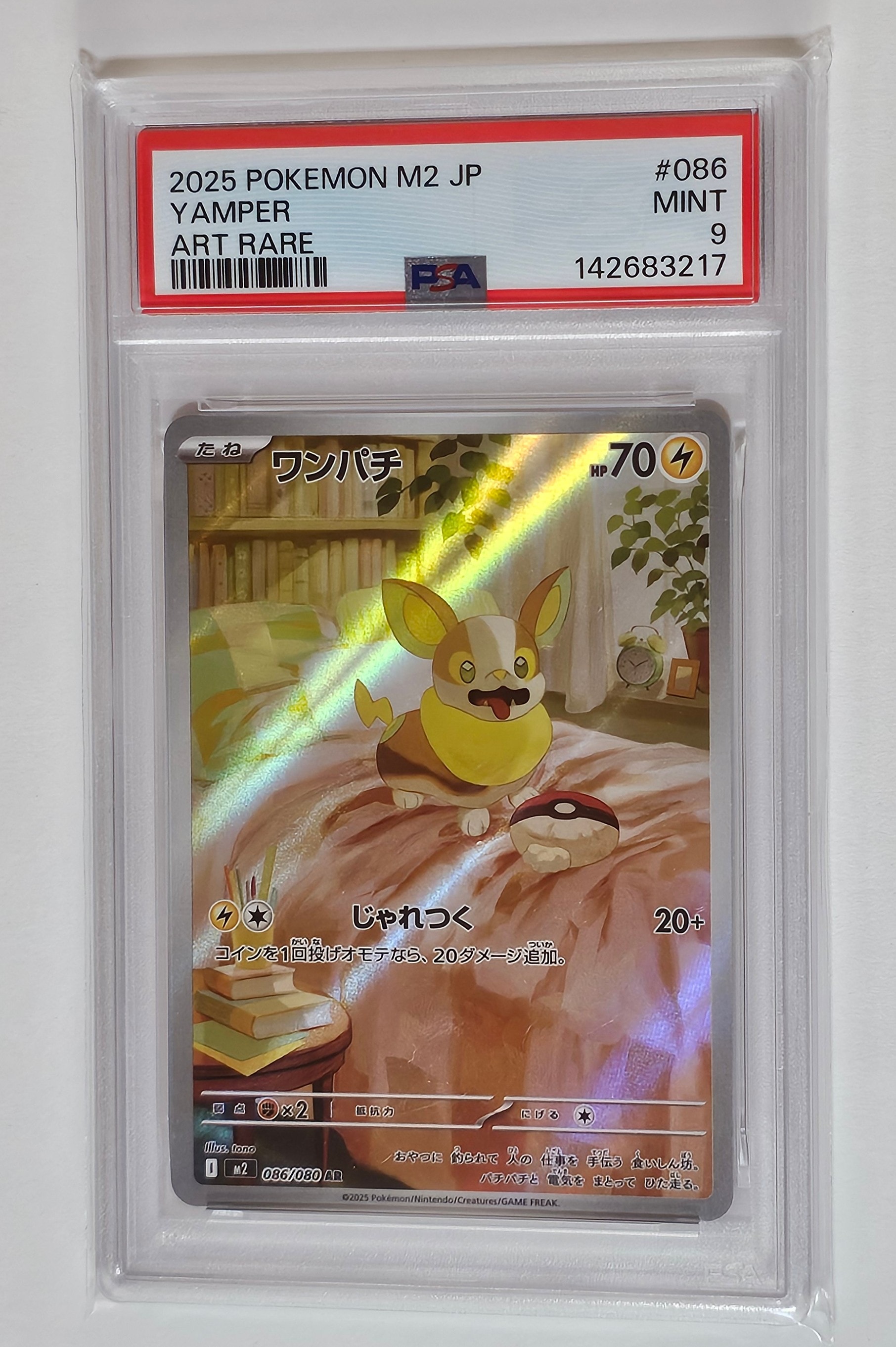 ピカチュウ 224/SM-P ピカチュウ: プロモ[SM-P 224](プロモーションカード「SM-P」)の新品