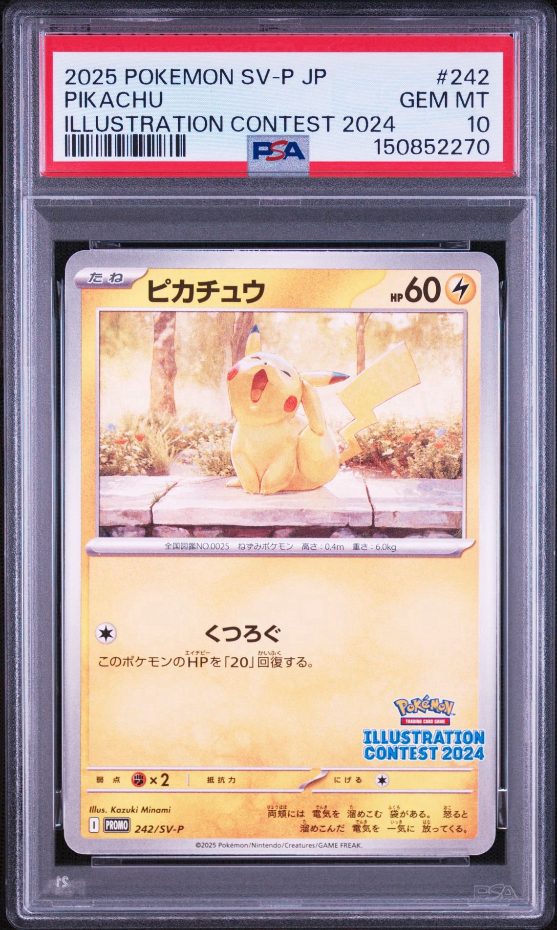 ピカチュウ [SV-P 242](プロモカードパック「イラストレーション