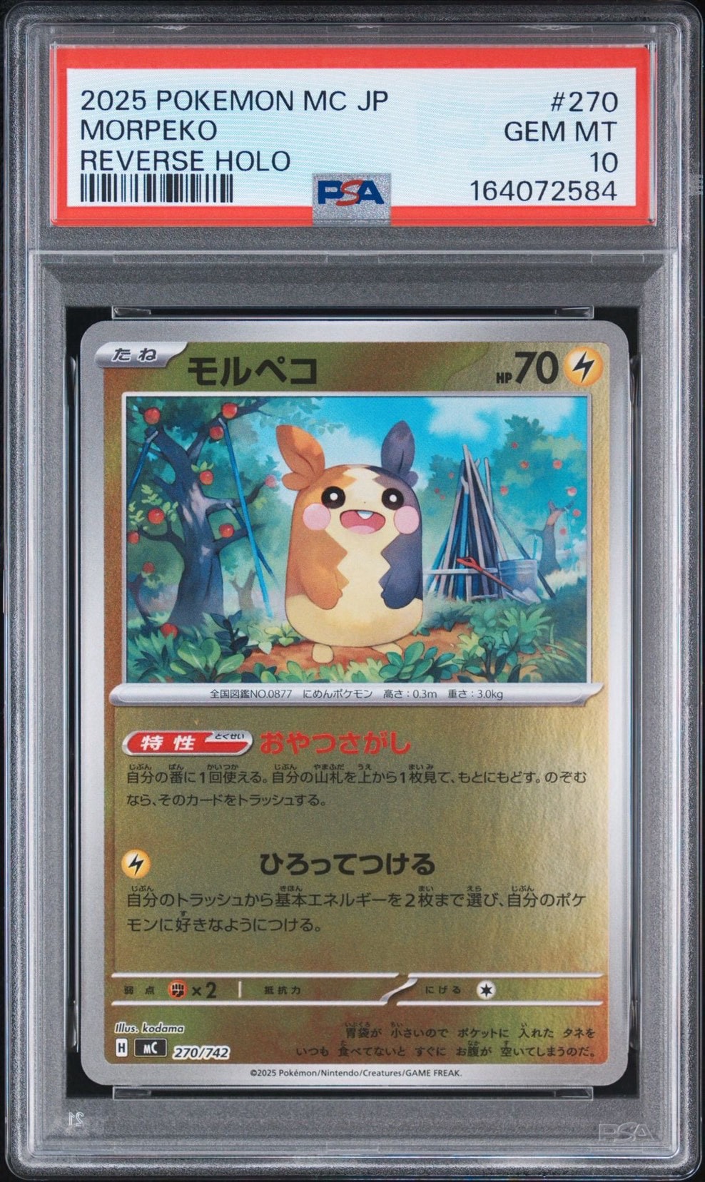 PSA10】モルペコ :ミラー [MC 270/742](スタートデッキ100「バトル