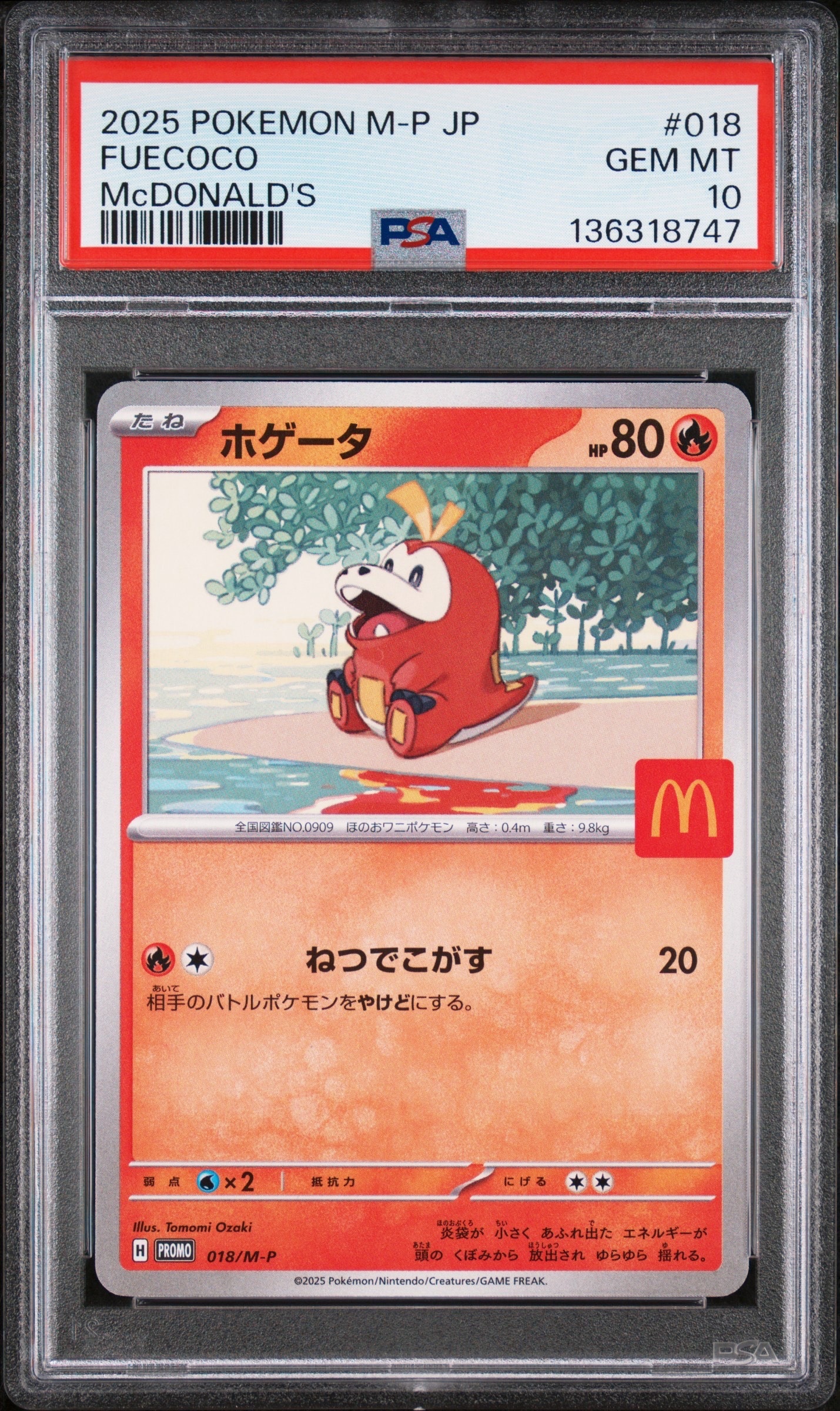 ホゲータ P [M-P 018](プロモカードパック「マクドナルド ハッピーセット2025」)