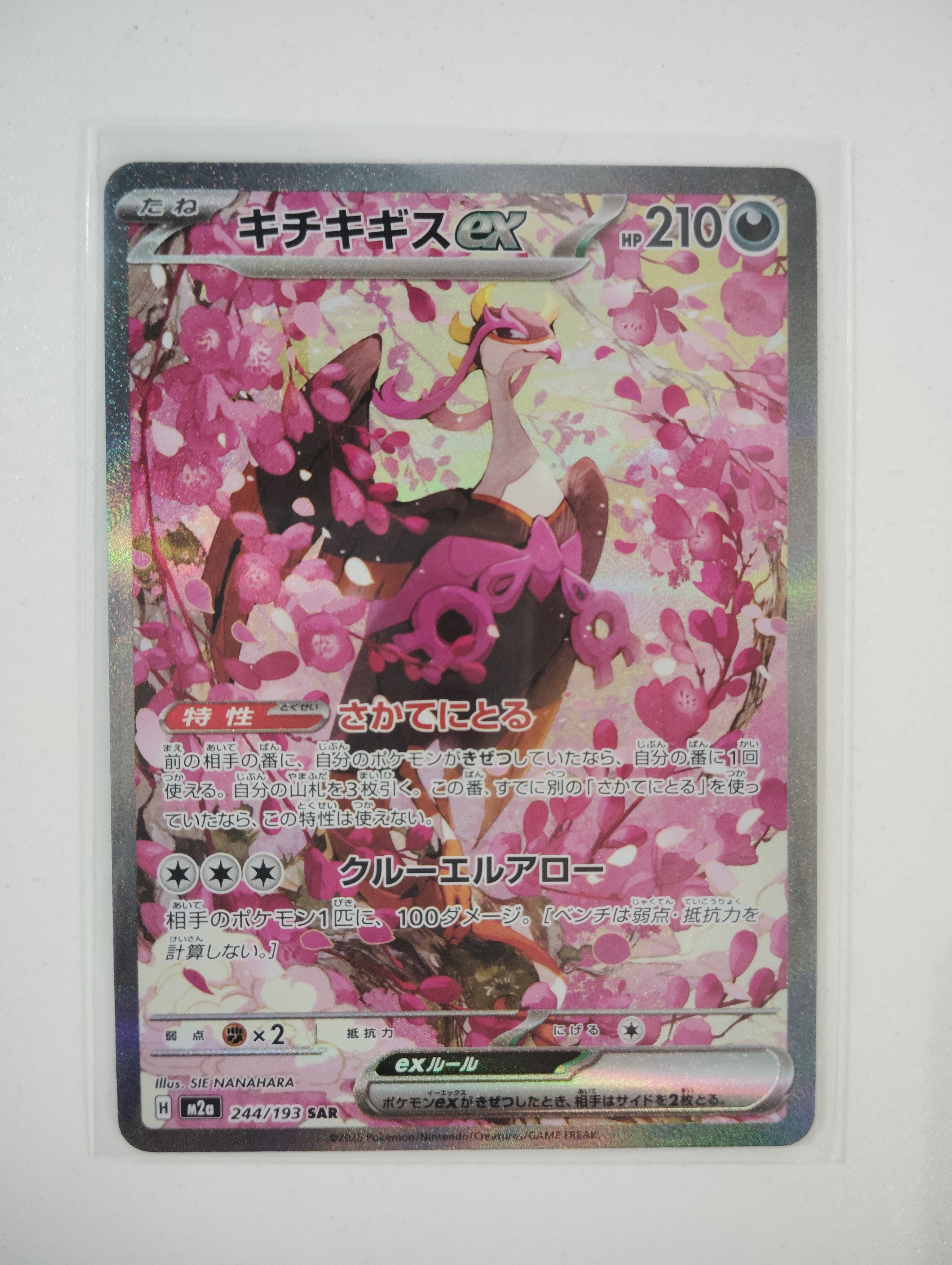 【PSA10】キチキギスex SAR [M2a 244/193] MEGA PSA10】キチキギスex SAR ポケモンカード M2a 244/193 - メルカリ