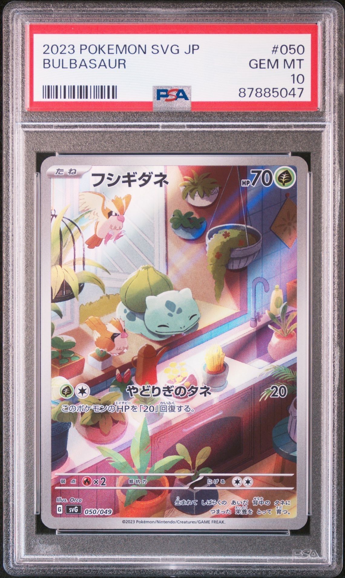 フシギダネ :フルイラスト [SVG 050/049](スペシャルデッキセットex「フシギバナ・リザードン・カメックス」)