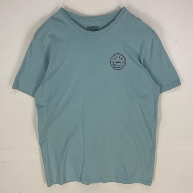 古着 パタゴニア patagonia 半袖Tシャツ クルーネック ショートスリーブ ロゴ L 水色系 両面プリント メンズ