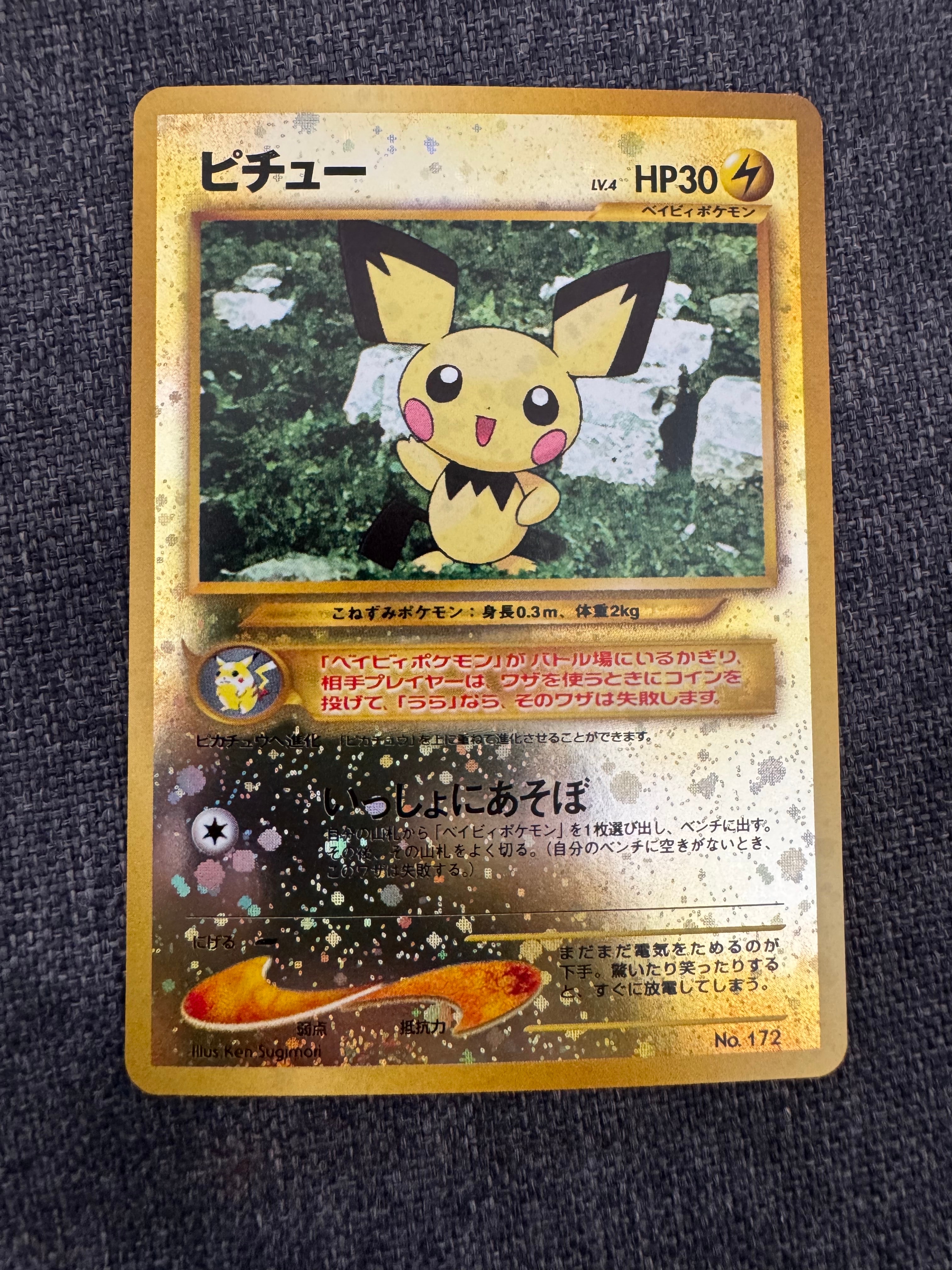 ピチュープレミアムファイル2: 旧裏[neoP2 No.172](プレミアムファイル2)