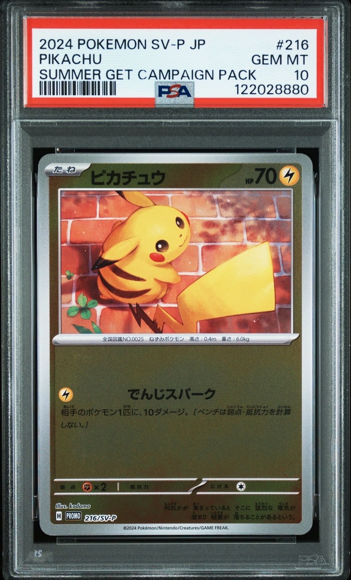 ピカチュウ P [SV-P 216](プロモカードパック「ポケカの夏がキタ!プロモカードGetキャンペーン!」)
