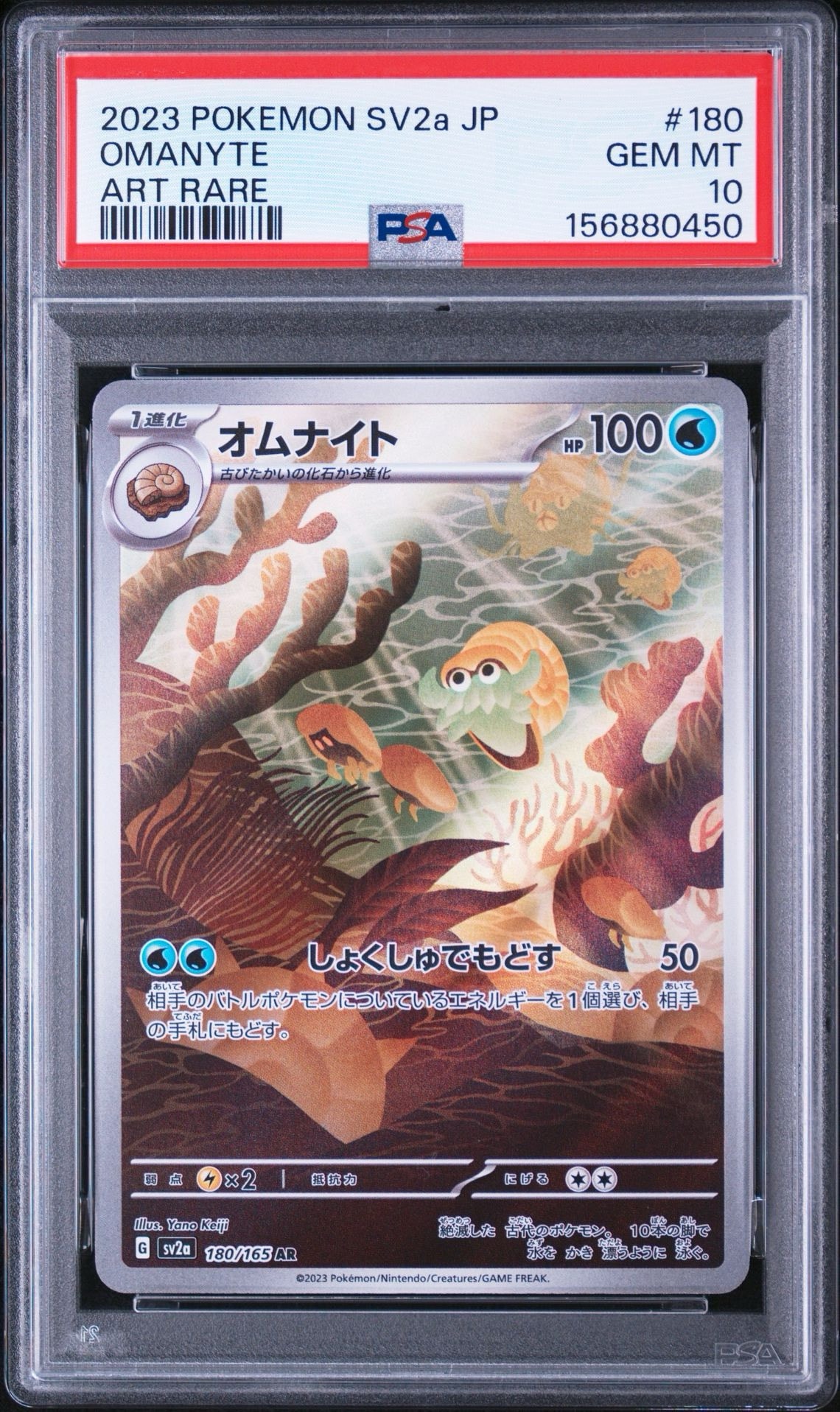 オムナイト AR[SV2a 180/165](強化拡張パック「ポケモンカード151」)