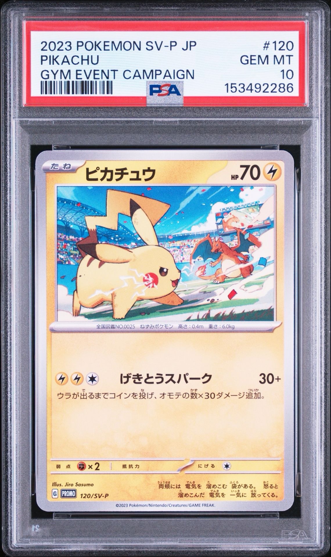 ピカチュウ: プロモ [SV-P 120](プロモーションカード「SV-P」)通販