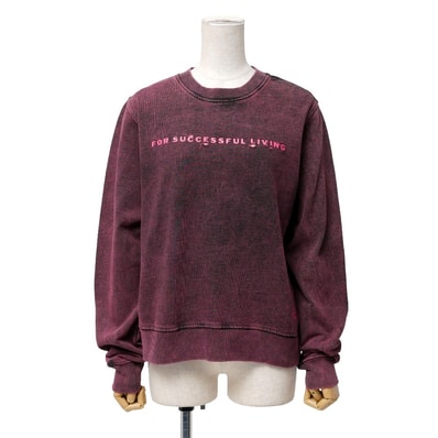 ■美品■DIESEL ディーゼル F-REGGY-E1 スウェット サイズM ダメージ加工 ウォッシュド クルーネック ブランド古着【中古】20260212/RA7764