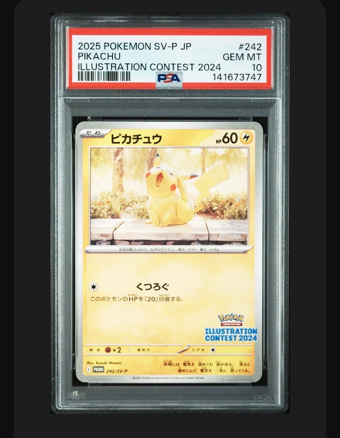 ピカチュウ [SV-P 242](プロモカードパック「イラストレーションコンテスト 2024 受賞作品プロモカード化記念キャンペーン」)