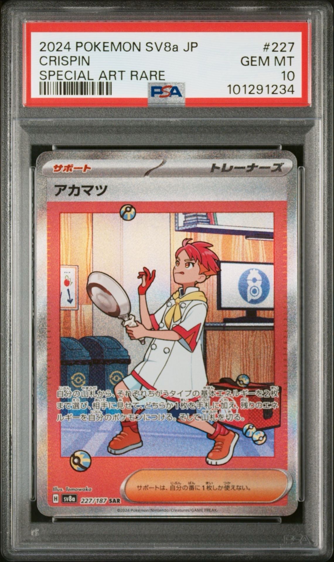 アカマツ SAR [SV8a 227/187](ハイクラスパック「テラスタルフェスex」)
