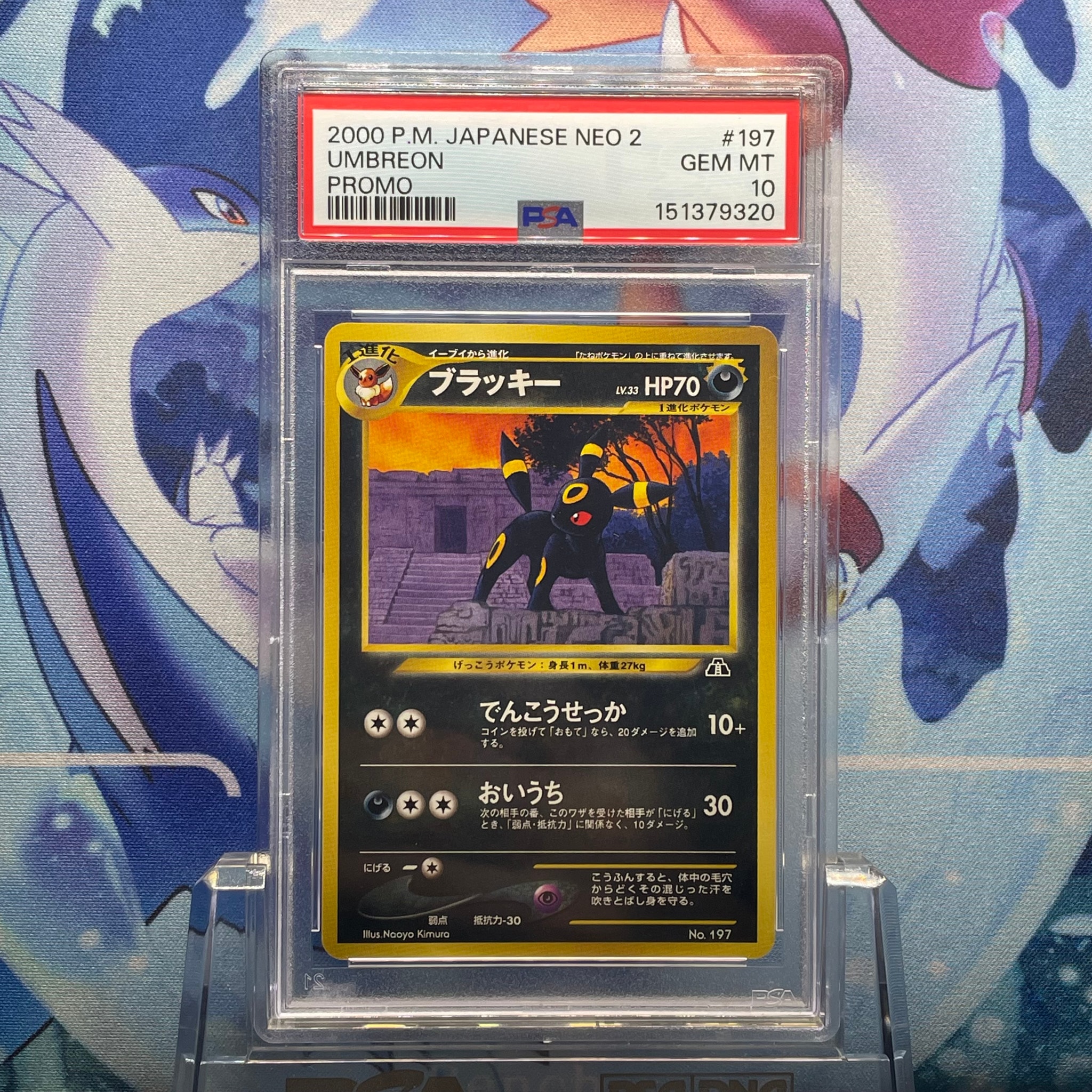 PSA10】ブラッキープレミアムファイル2: 旧裏[neoP2 No.197