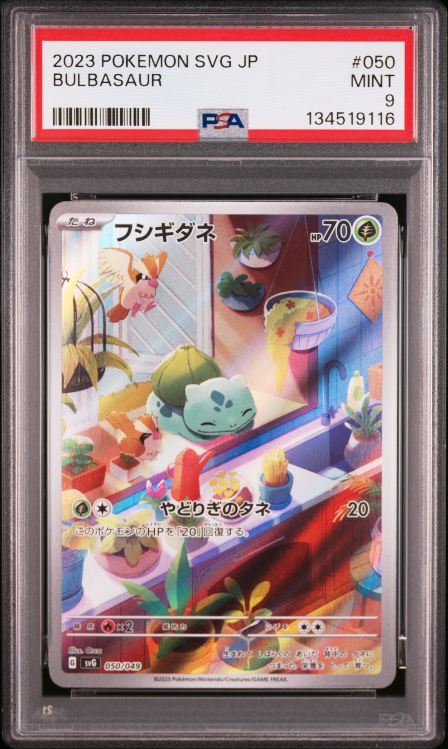 メガニウム ★ : 旧裏 neo1 No.154 PSA9 1999 Pokemon Japanese Neo Promo 154 Meganium-holo Premium File PSA