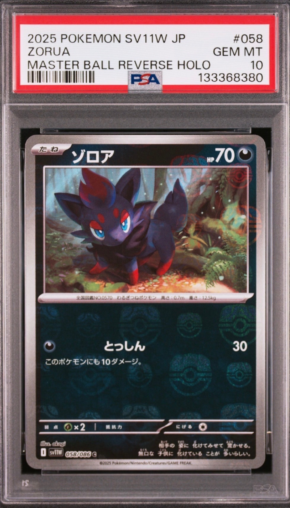 ゾロア C :マスターボールミラー [SV11W 058/086](拡張パック「ホワイトフレア」)