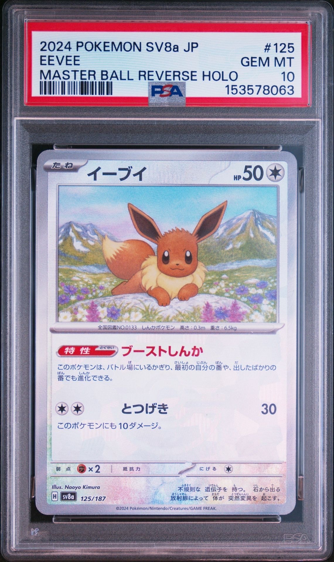 イーブイ マスターボールミラー psa10 テラスタルフェス 125/187 PSA10】イーブイ :マスターボールミラー [SV8a 125/187](ハイクラス