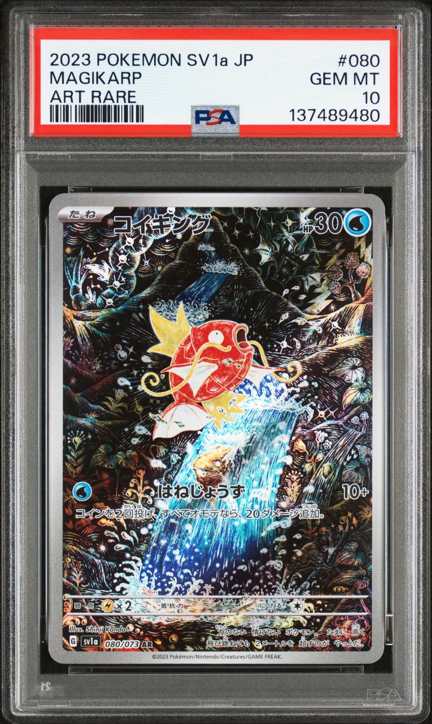 コイキング AR[SV1a 080/073](スカーレット&バイオレット 拡張パック「トリプレットビート」)