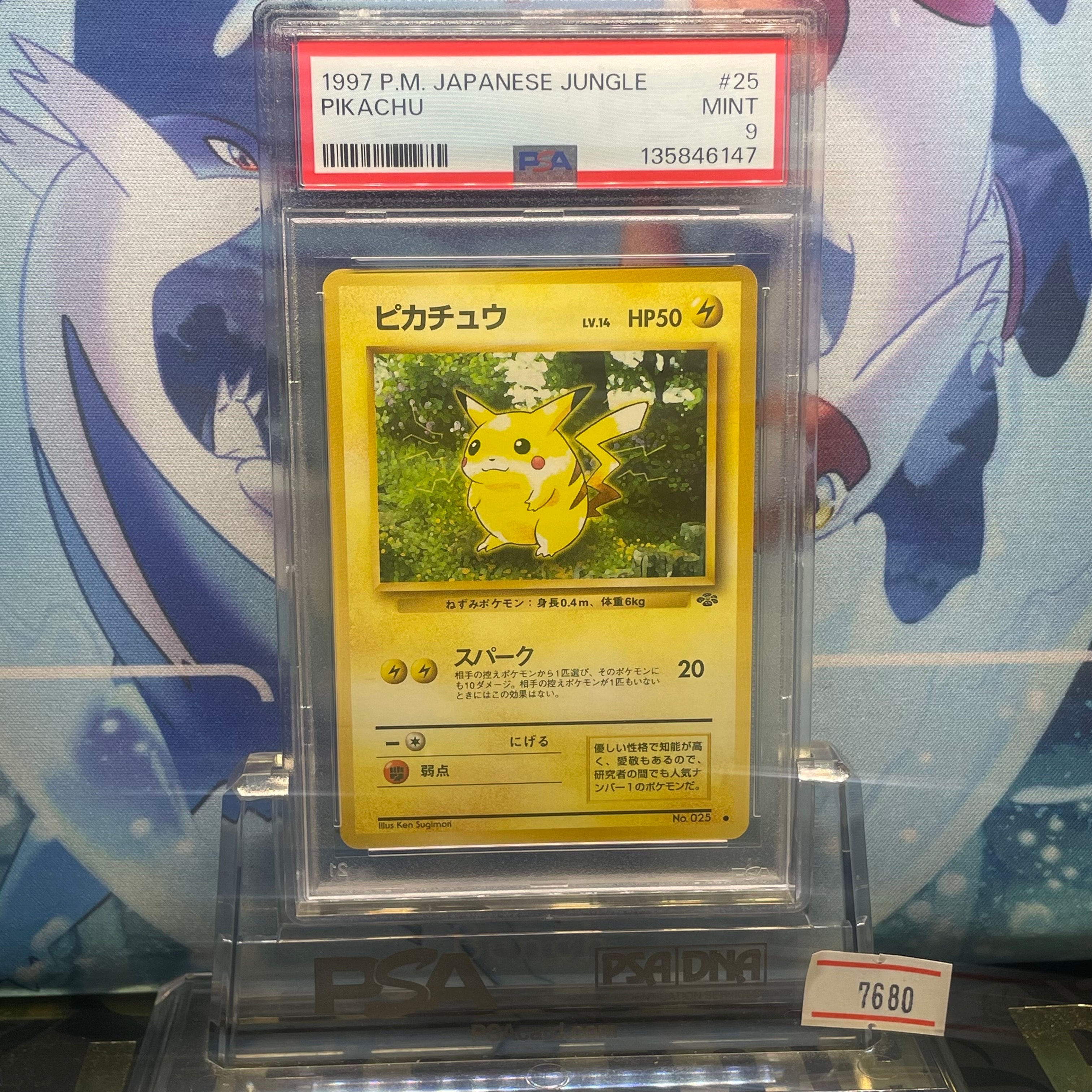 ピカチュウ ● : 旧裏 [PMCG2 No.025](拡張パック「ポケモンジャングル」)