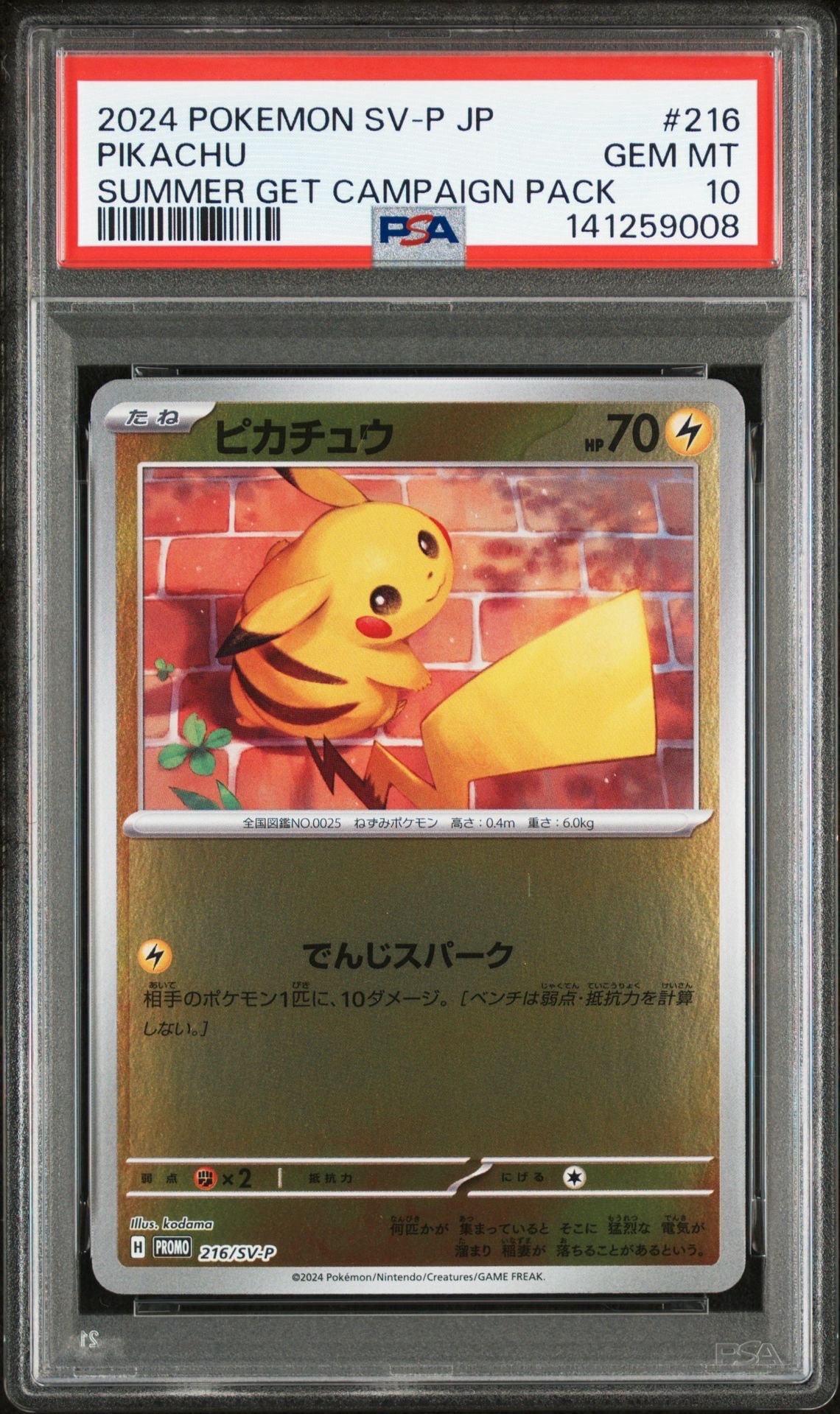 ピカチュウ P [SV-P 216](プロモカードパック「ポケカの夏がキタ!プロモカードGetキャンペーン!」)