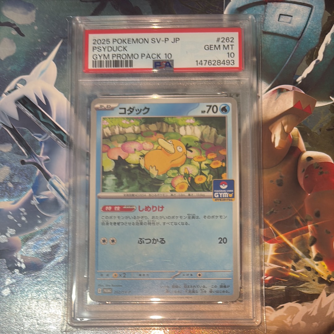 PSA10】コダック P [SV-P 262](プロモカードパック「第10弾」) 1枚の