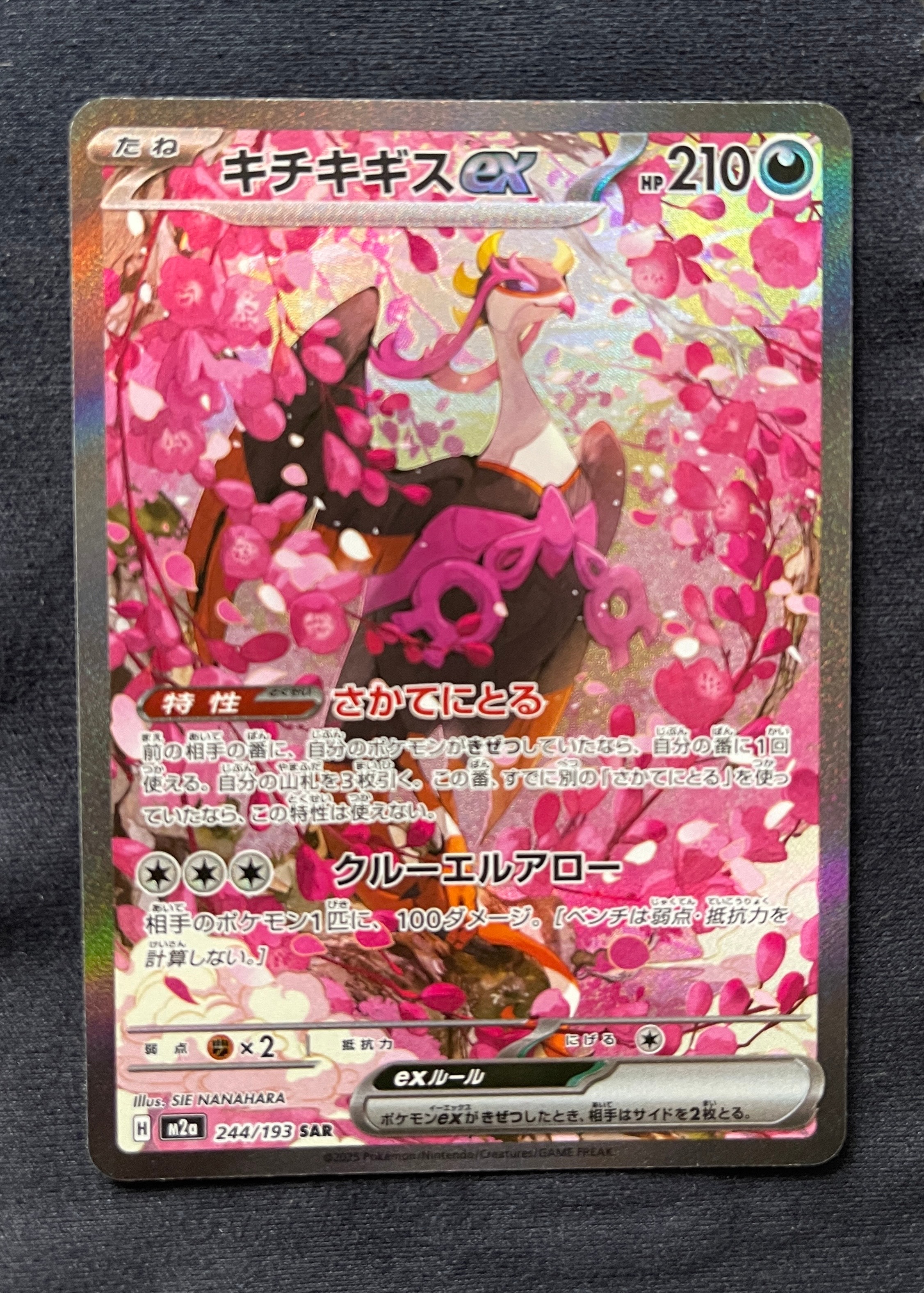キチキギスex SAR [M2a 244/193](ハイクラスパック「MEGAドリームex」)