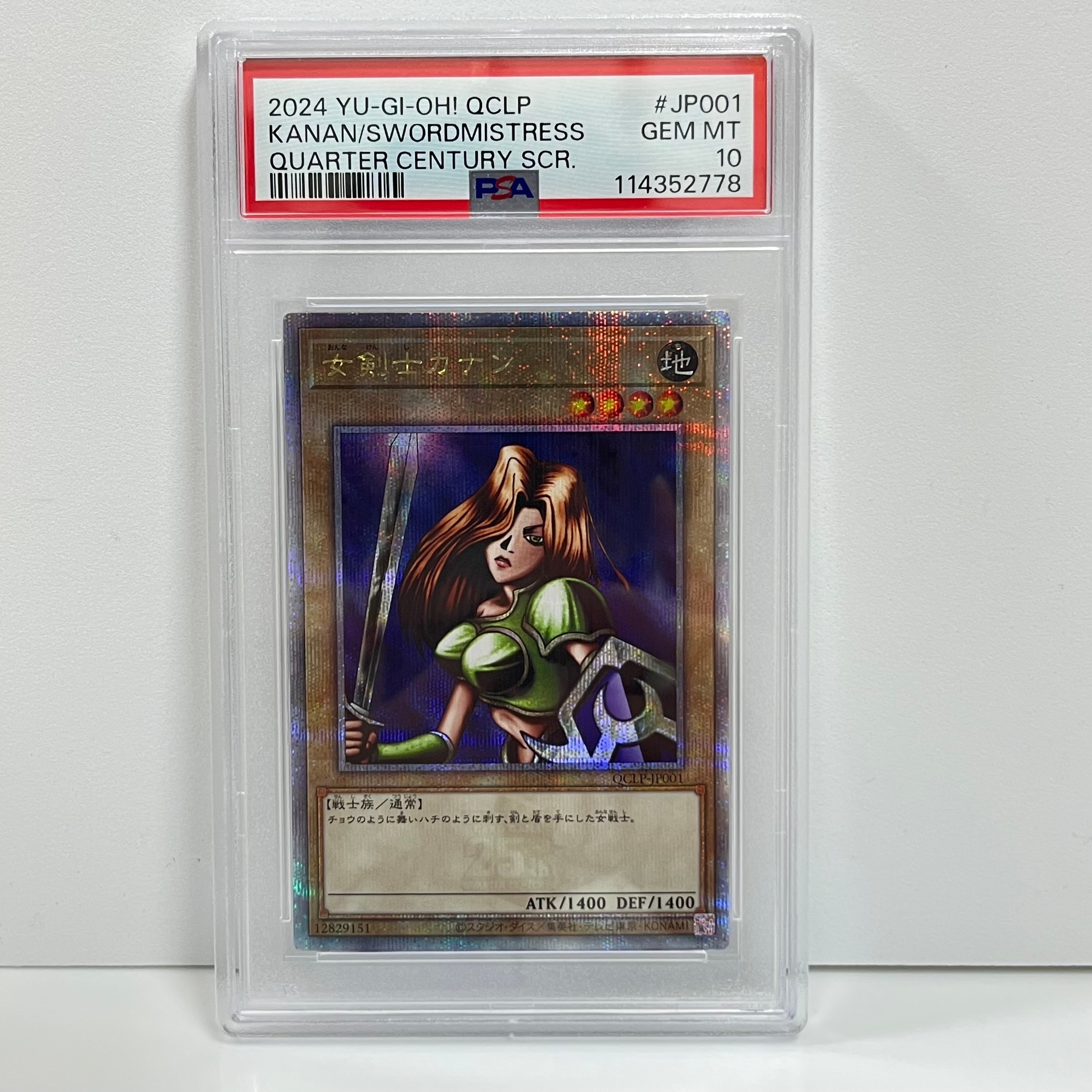 女剣士カナン 25th SE [QCLP-JP001](クォーター・センチュリー・リミテッド・パック)