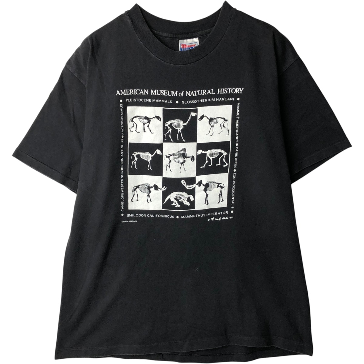 古着 90年代 ヘインズ Hanes BEEFY-T プリントTシャツ メンズL相当 ヴィンテージ/eaa636651