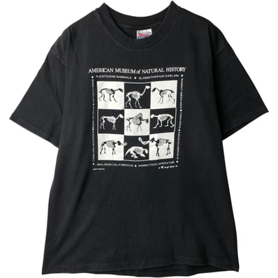 古着 90年代 ヘインズ Hanes BEEFY-T プリントTシャツ メンズL相当 ヴィンテージ/eaa636651