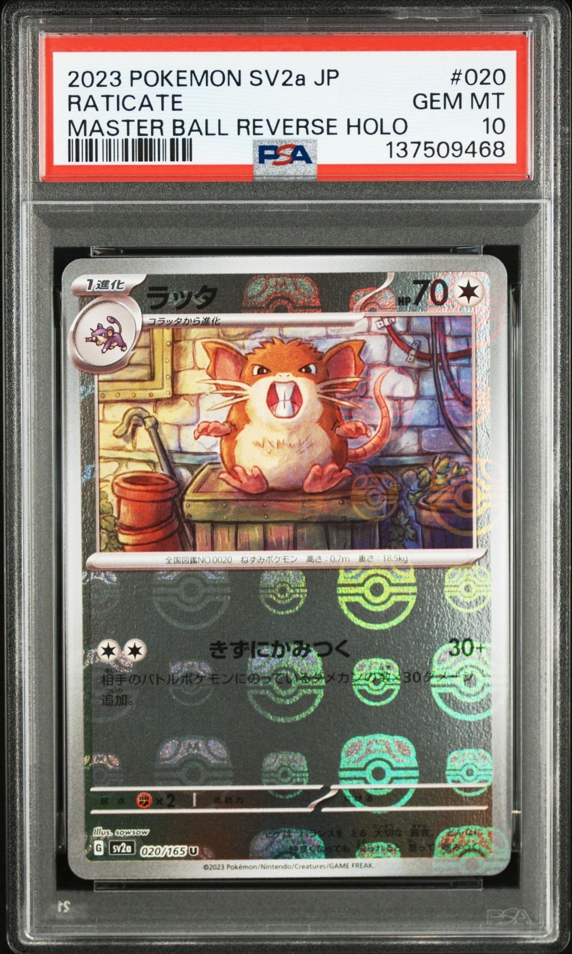 ラッタ U: マスターボールミラー[SV2a 020/165](強化拡張パック「ポケモンカード151」)