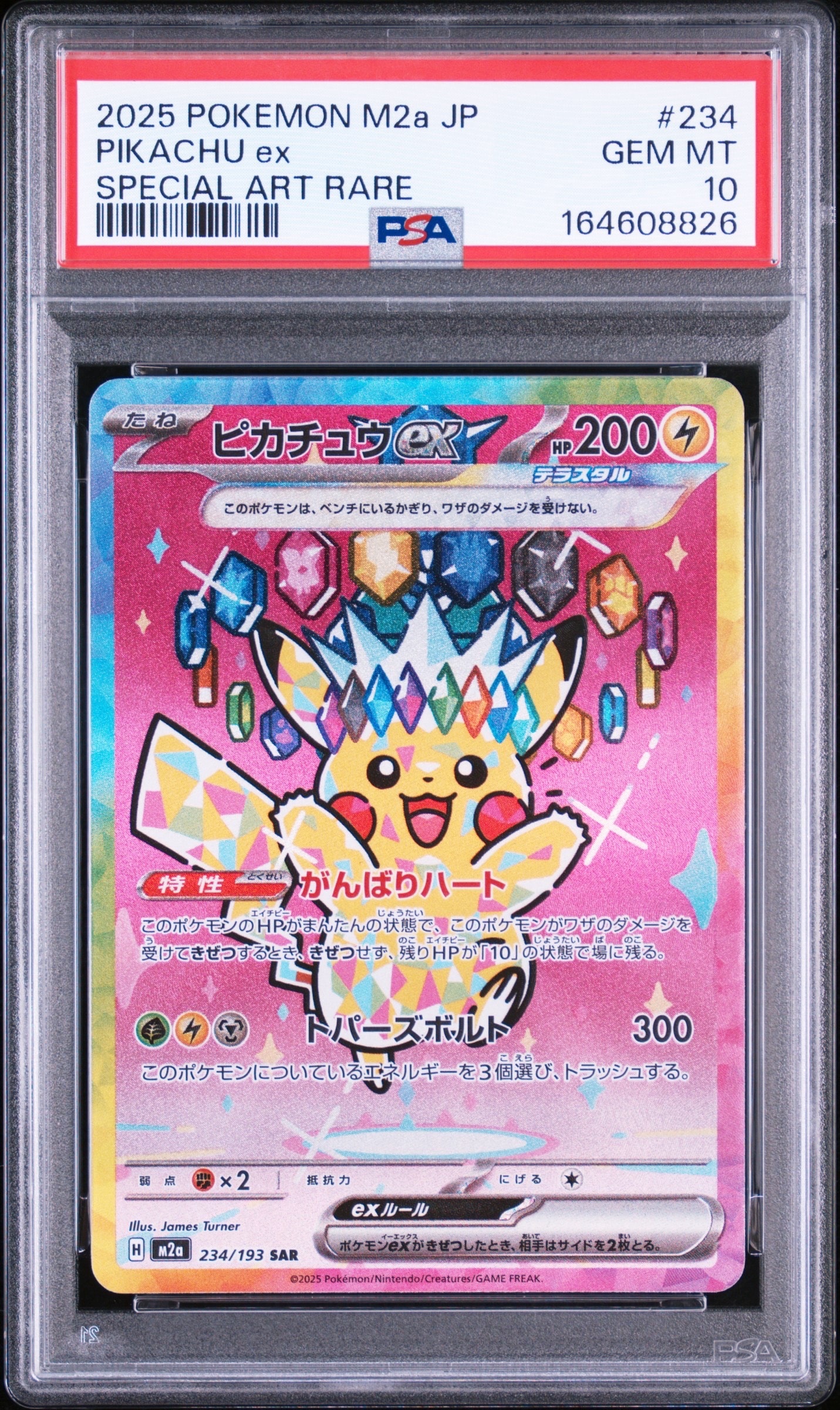 ポケパークのピカチュウ [PCG 004/009](ポケパークプレミアムファイル